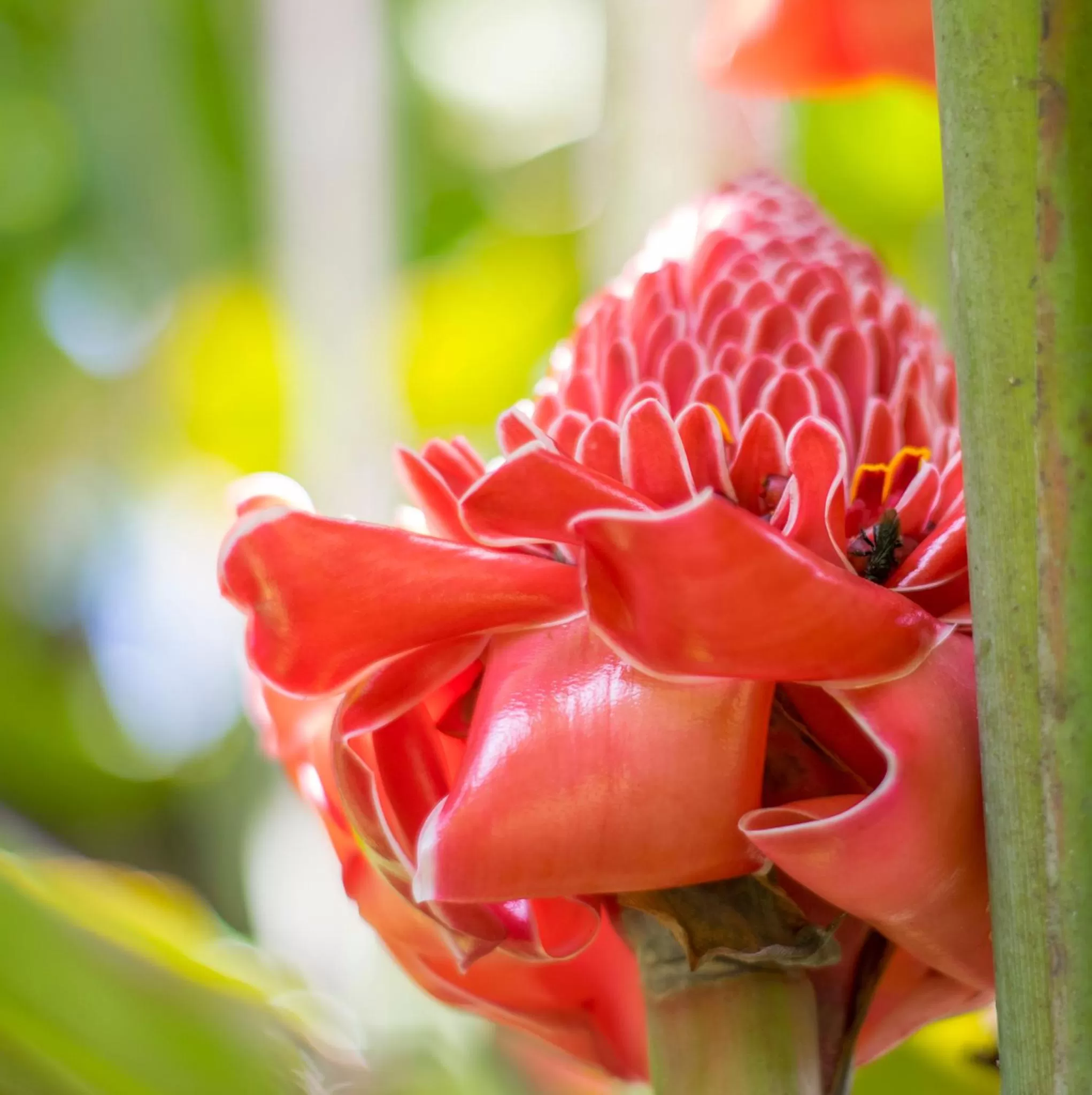 Garden in Hotel Kokoro Mineral Hot Springs