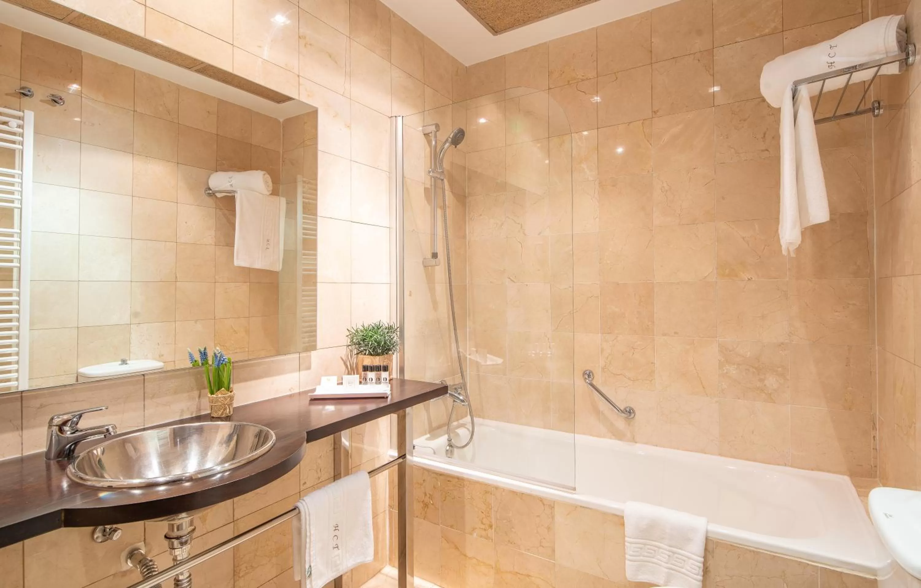 Toilet in Hospedium Hotel Casino Del Tormes