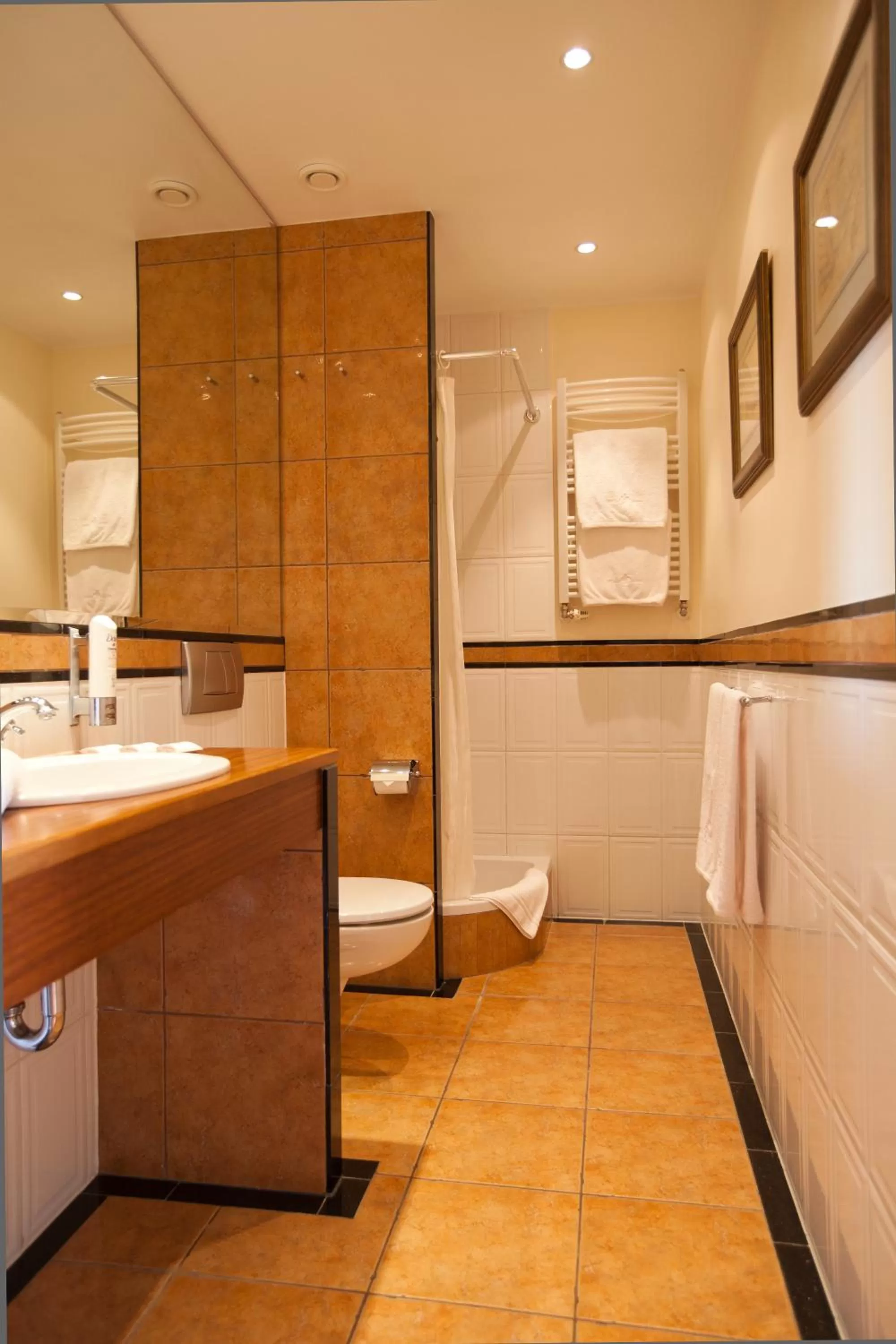 Bathroom in Hotel Willa Lubicz