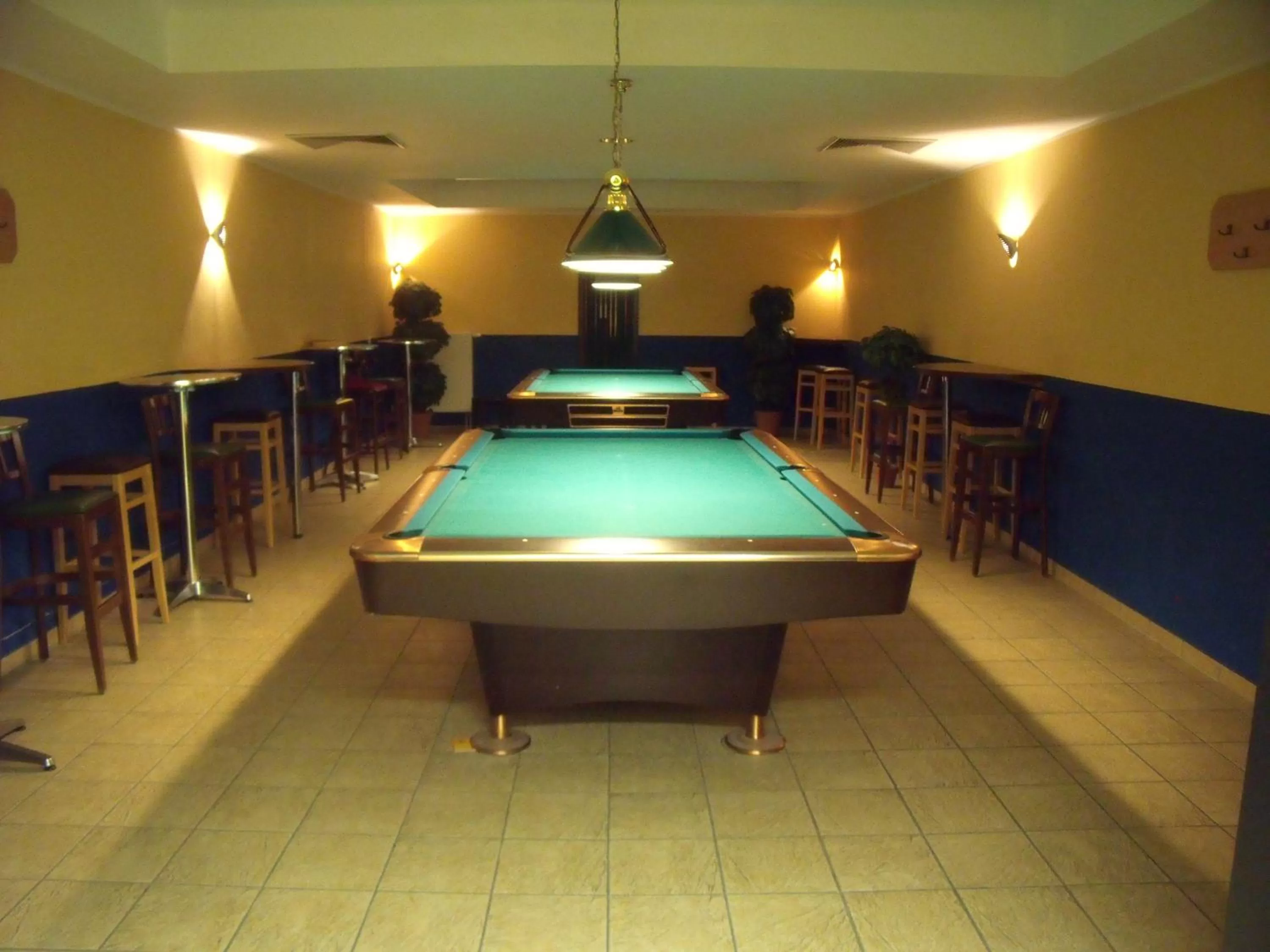 Billiard in Euroville Jugend- und Sporthotel