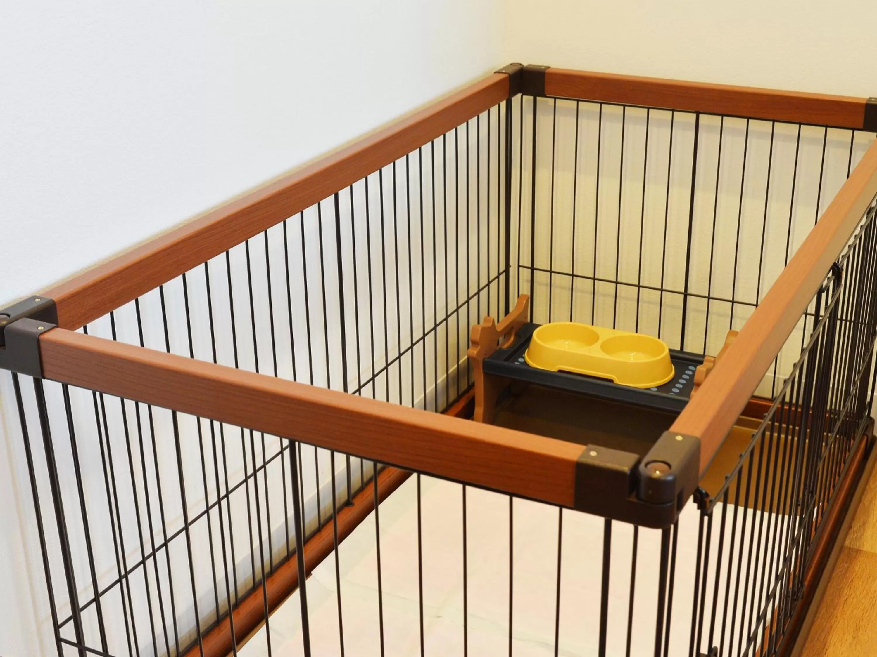 Pets in LC Goryokaku Hotel