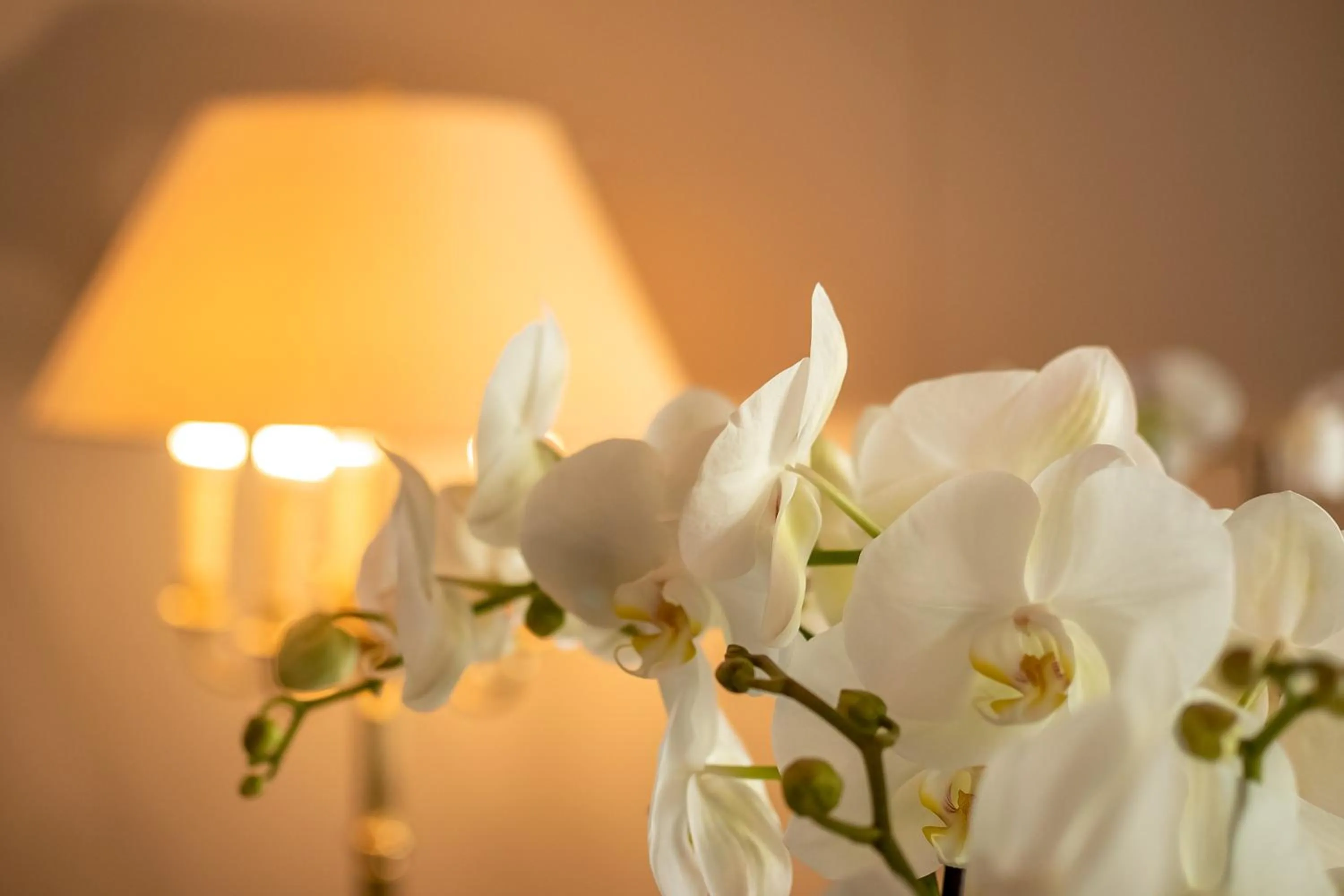 Decorative detail in Hotel Haus Arenberg