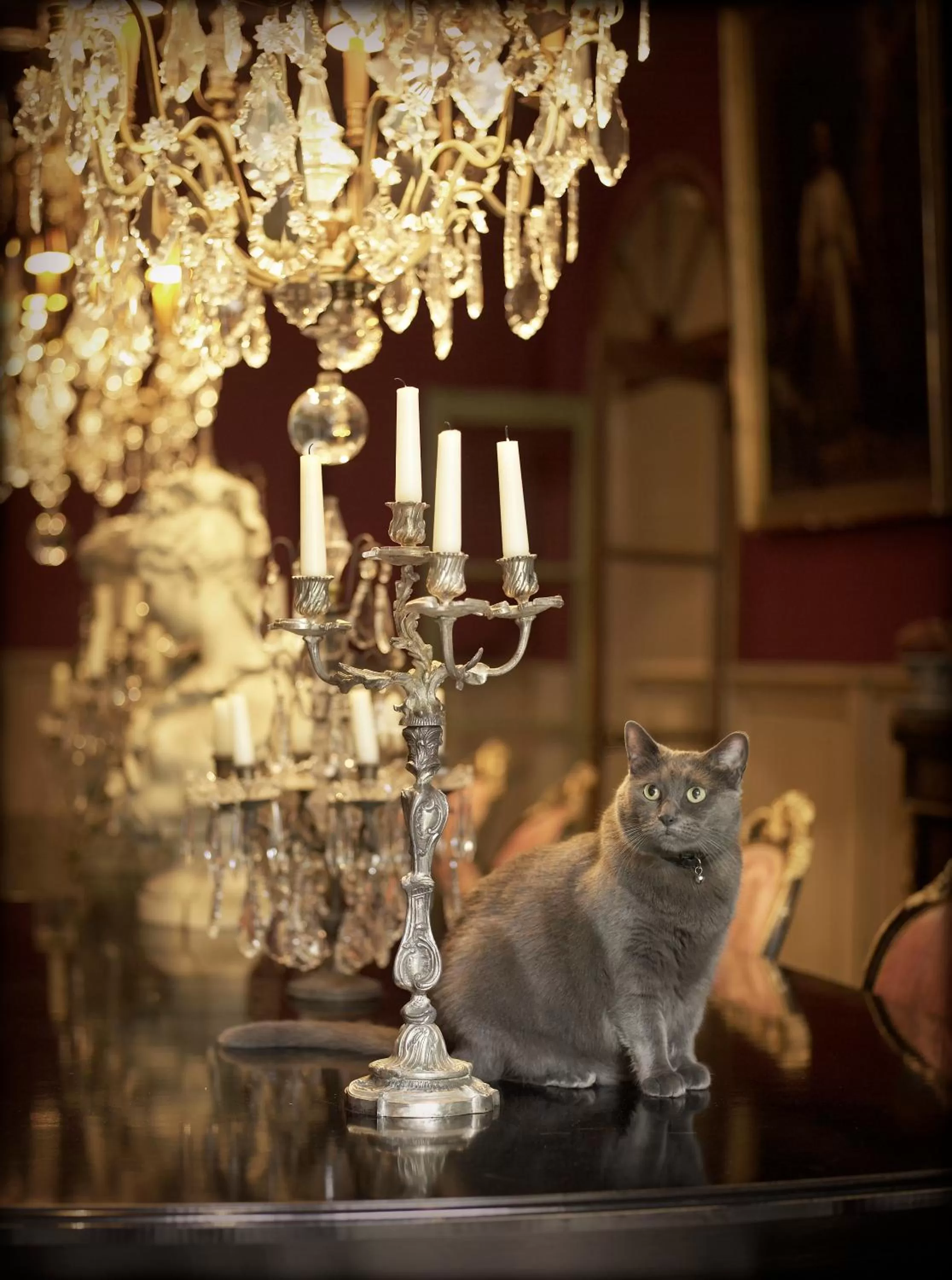 Living room in Jardins Secrets