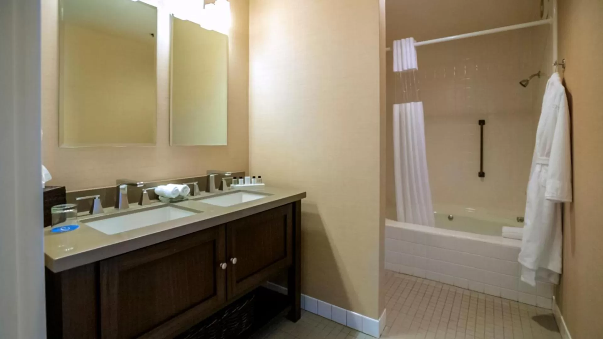 Bathroom in Cupertino Hotel