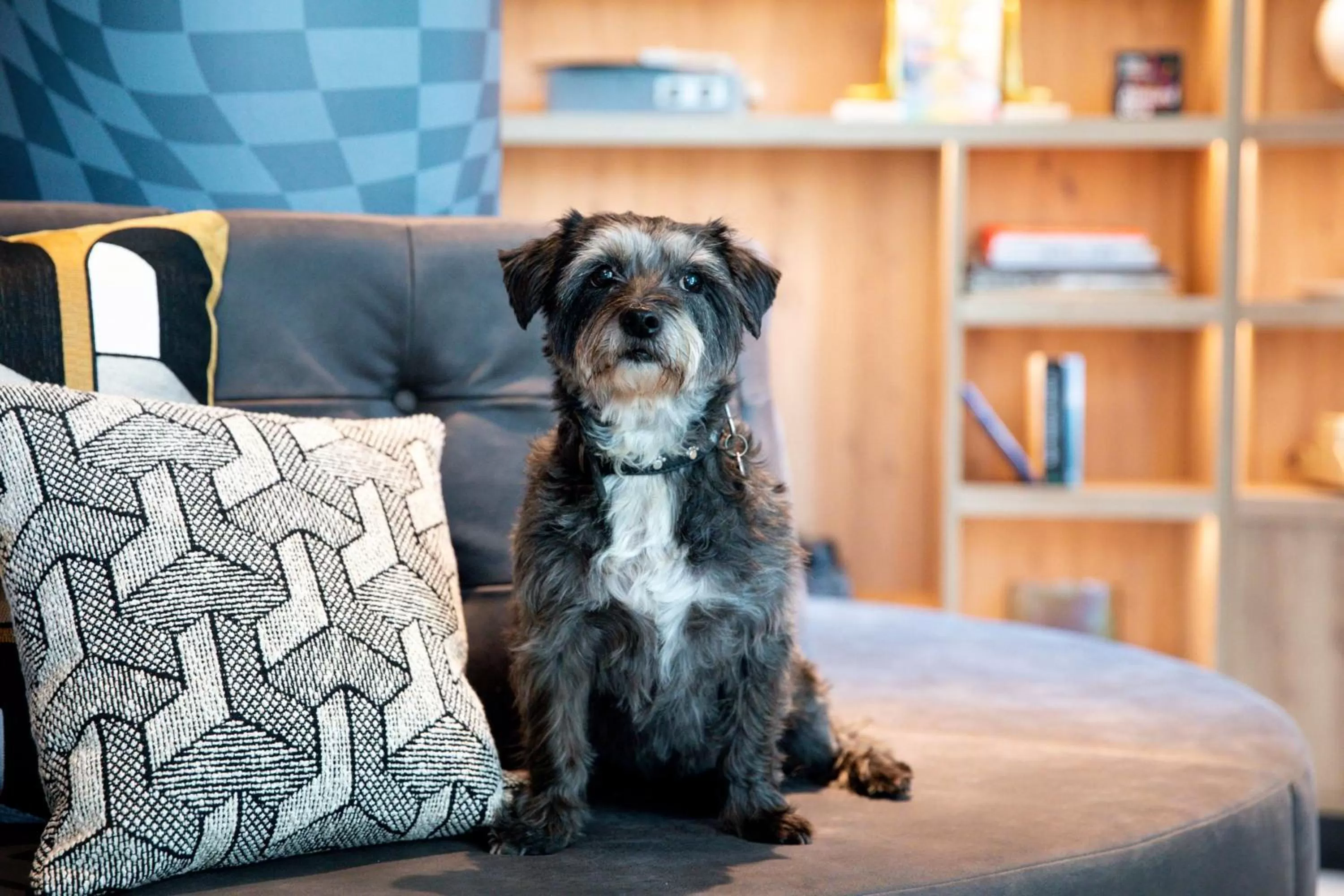 Other in Moxy The Hague