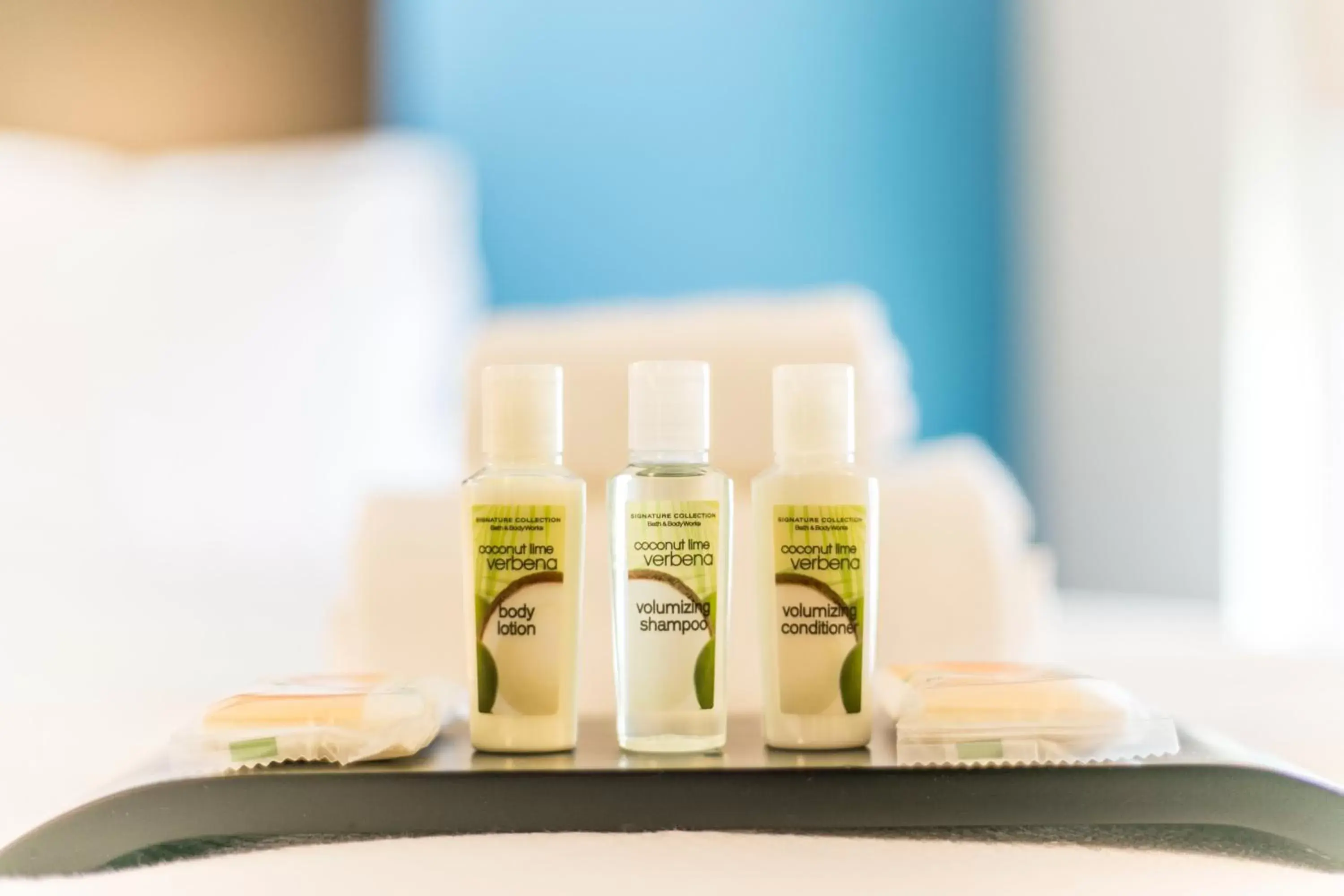 Suite with Mobility Accessible Tub - Non-Smoking in Holiday Inn Hotel & Suites Chattanooga by IHG Suite with Mobility Accessible Tub - Non-Smoking in Holiday Inn Hotel & Suites Chattanooga by IHG