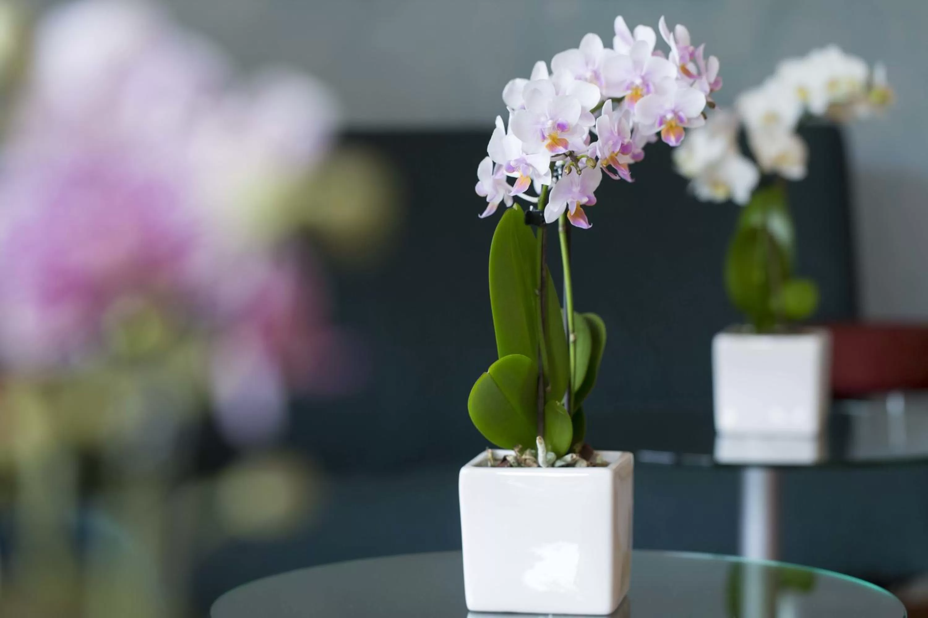 Decorative detail in Hotel in den Herrnwiesen