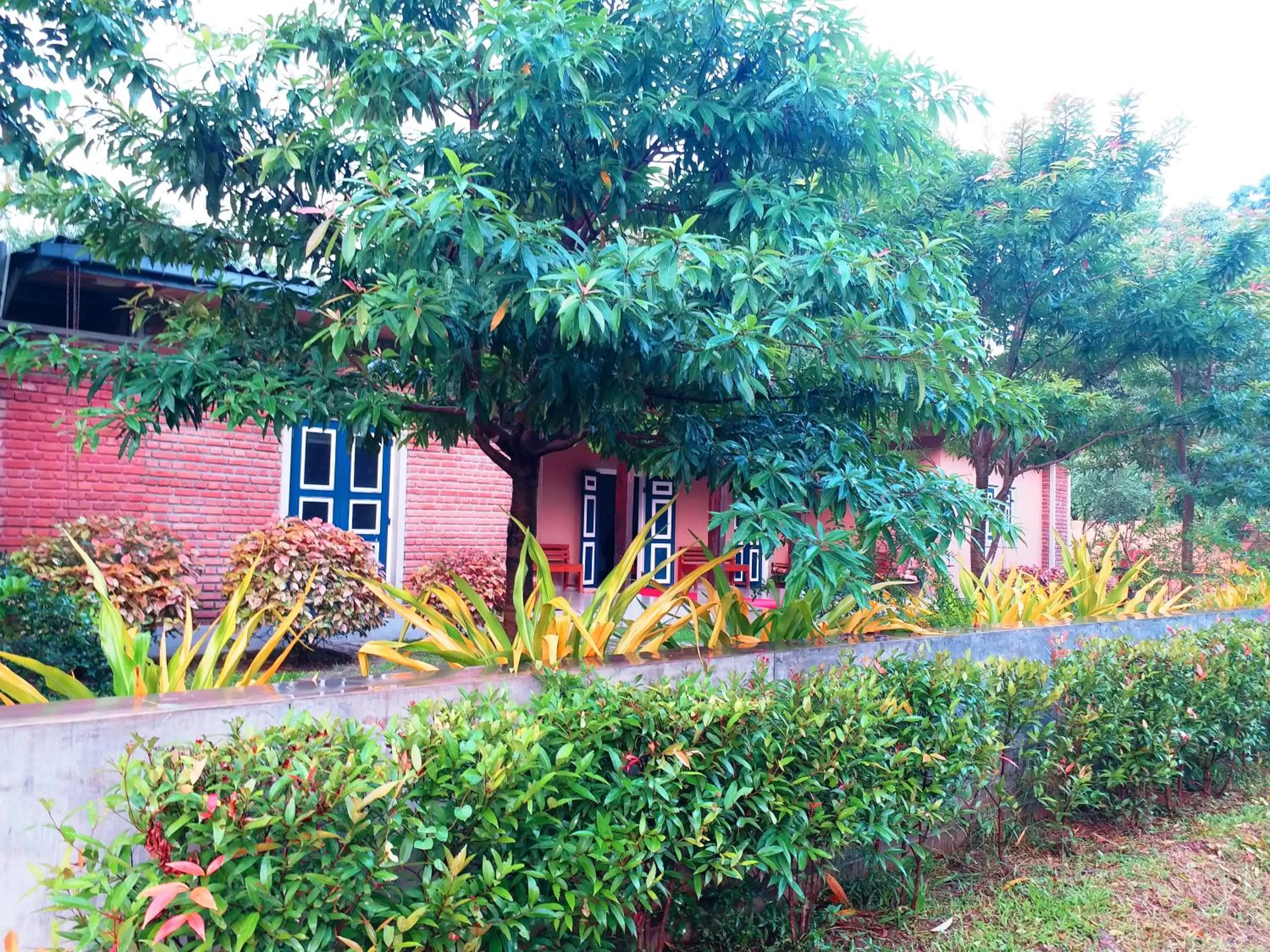Garden, Property Building in Honey Tree Polonnaruwa