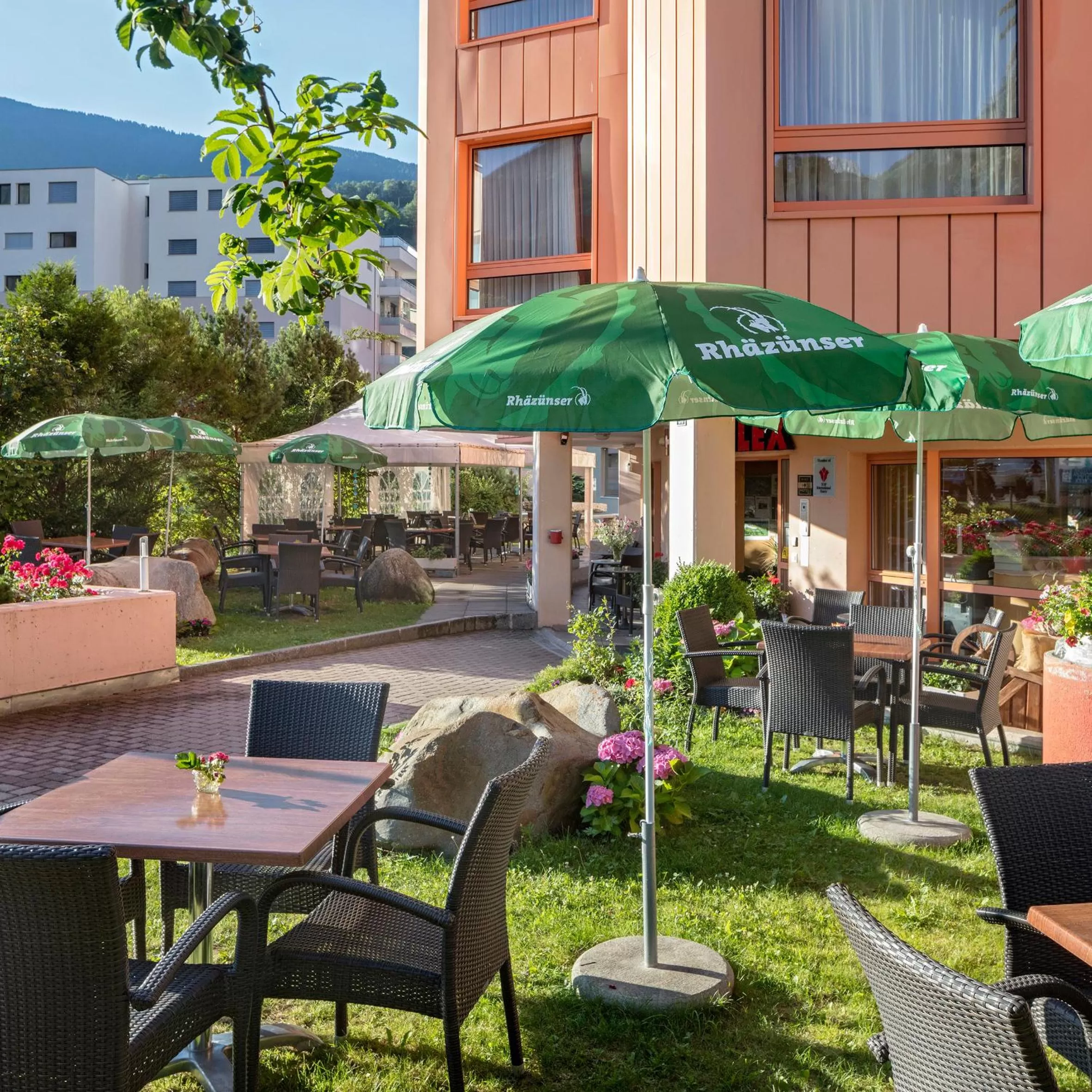 Garden in Hotel Alex Business & SPA