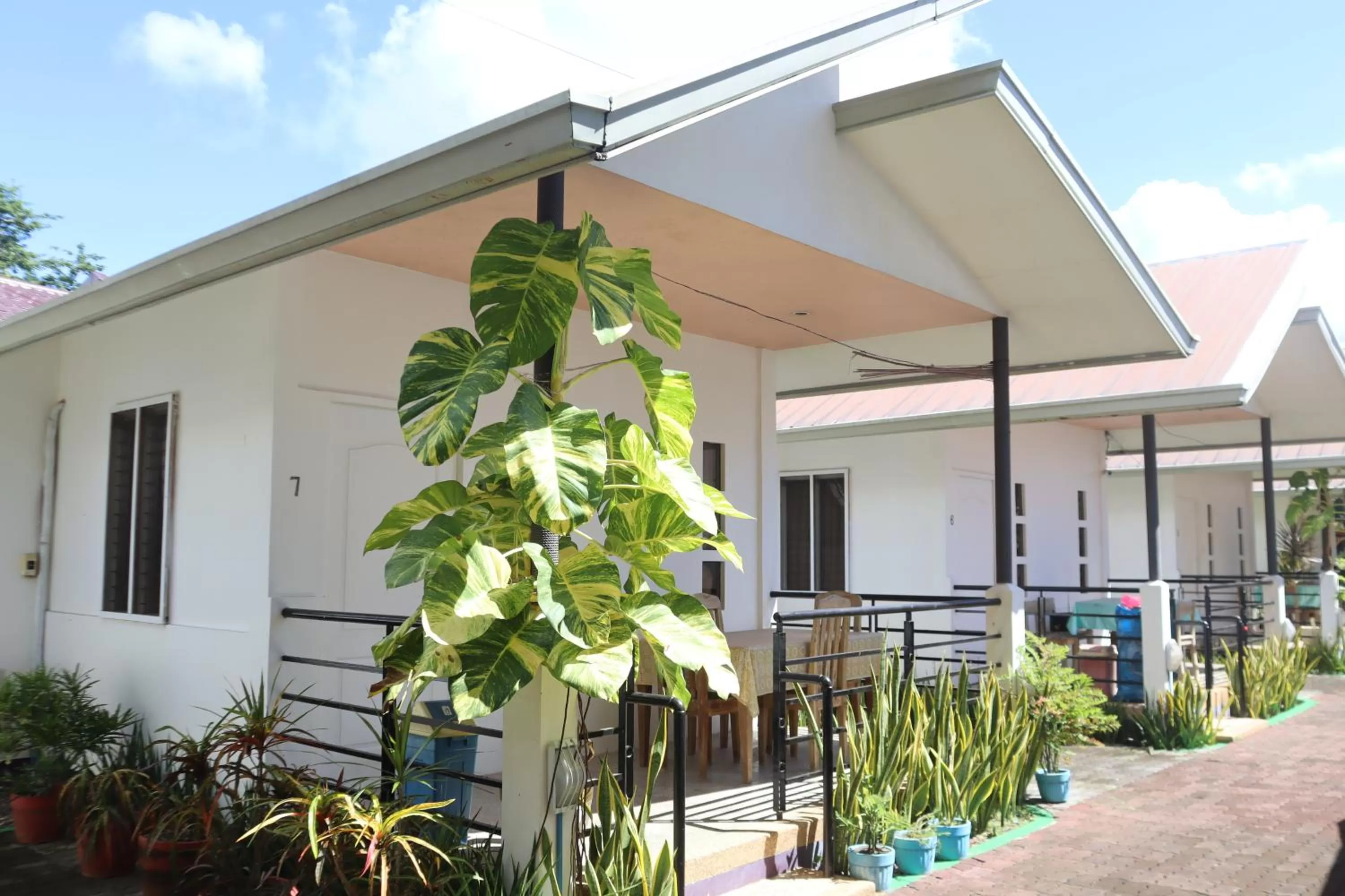 Ice Bear Bar & Tourist Inn