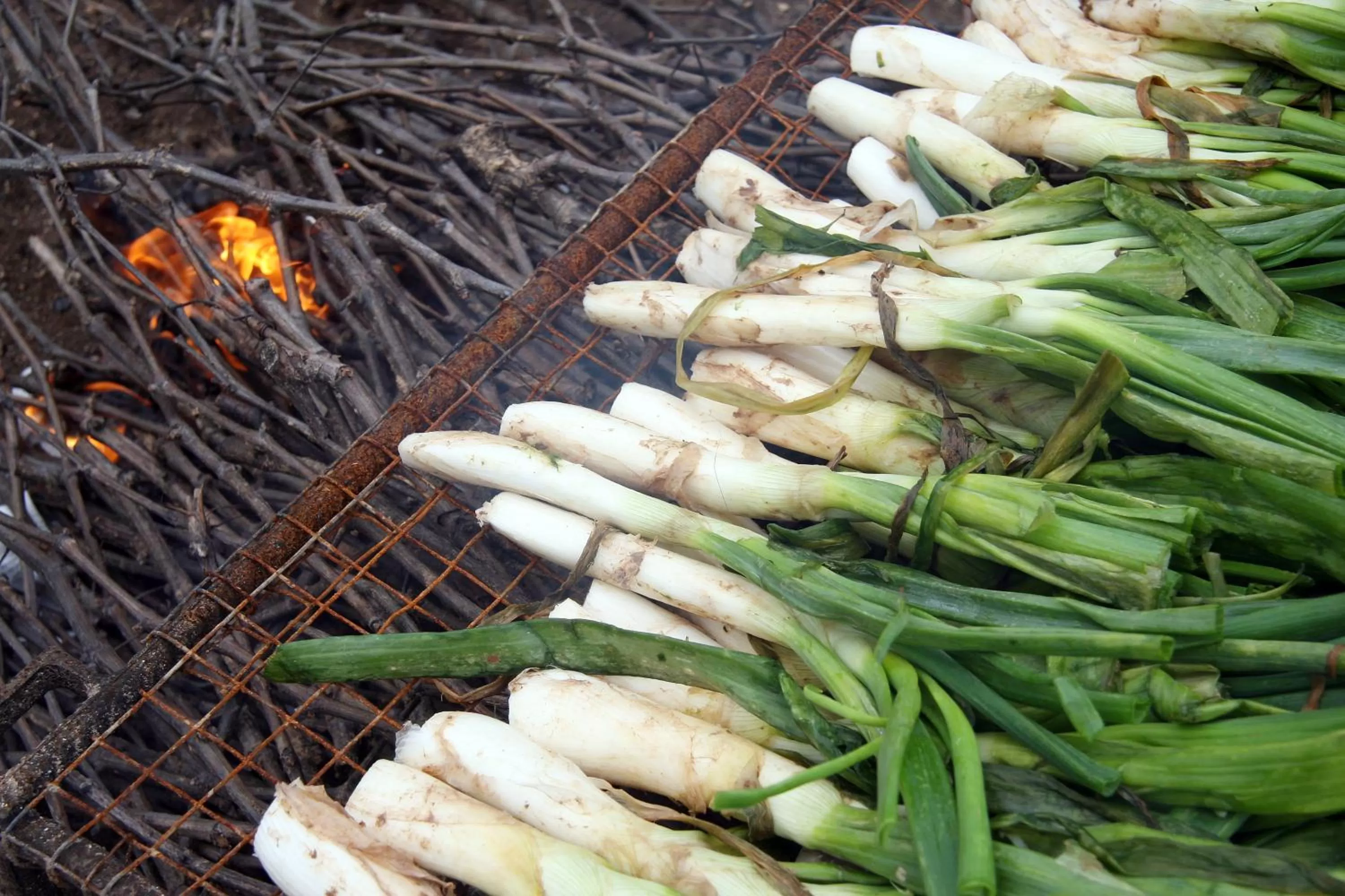 Meals in Hotel Class Valls