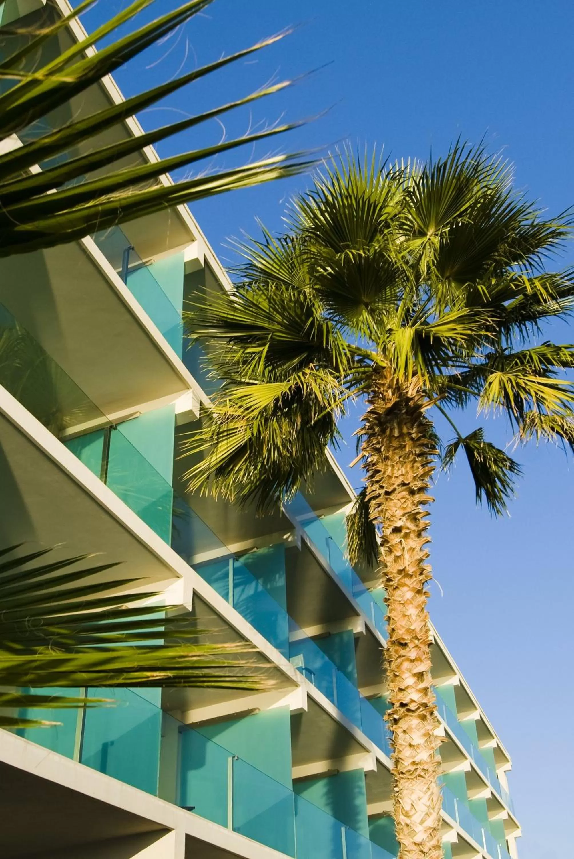 Facade/entrance in Kos Aktis Art Hotel