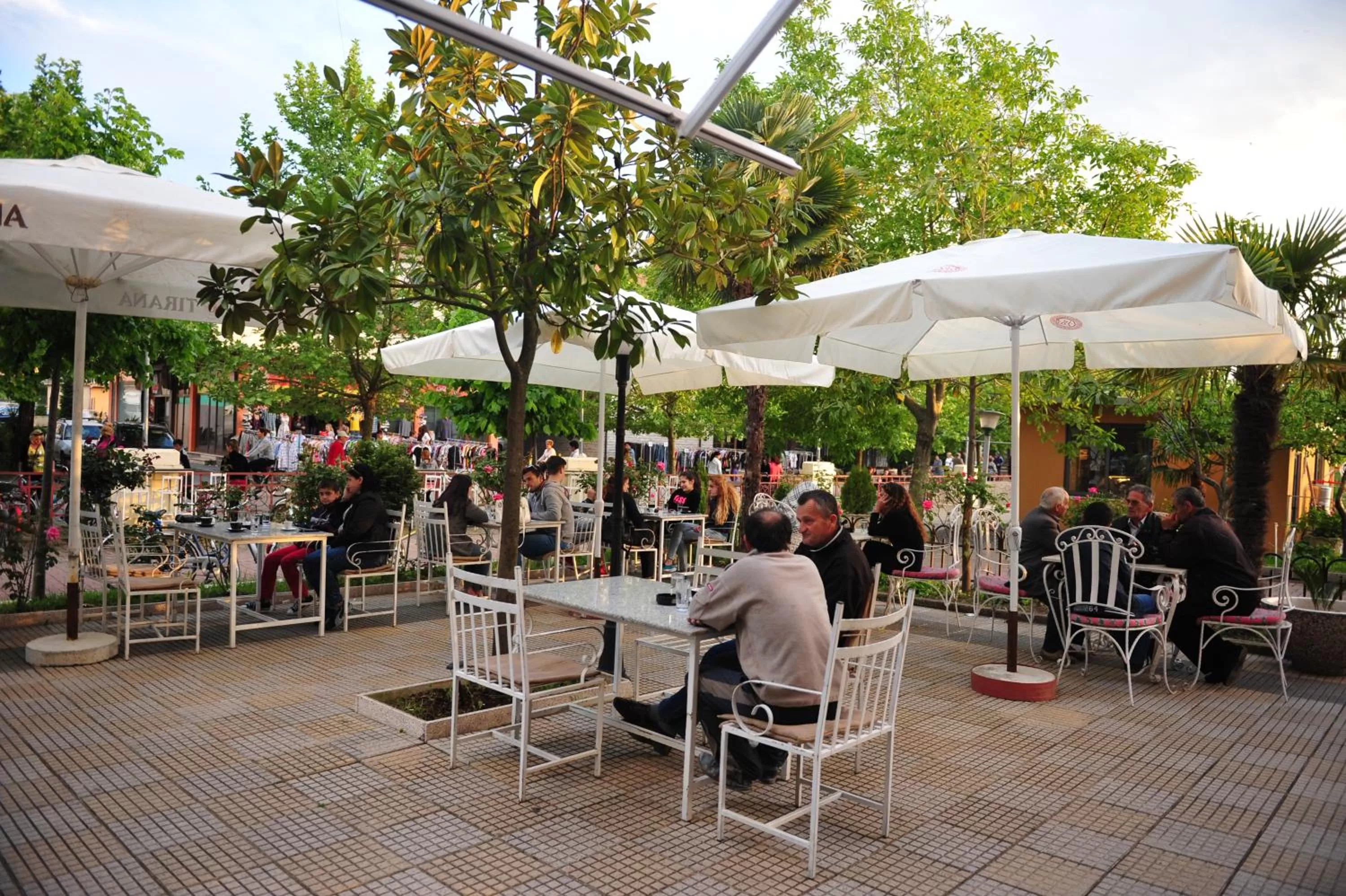 Restaurant/places to eat in Hotel Blini