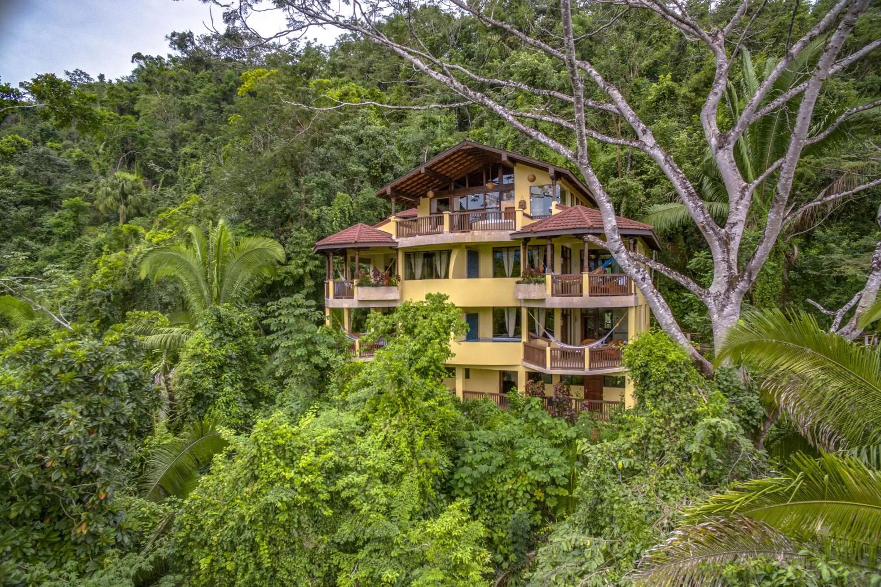 Natural landscape in Sleeping Giant Rainforest Lodge