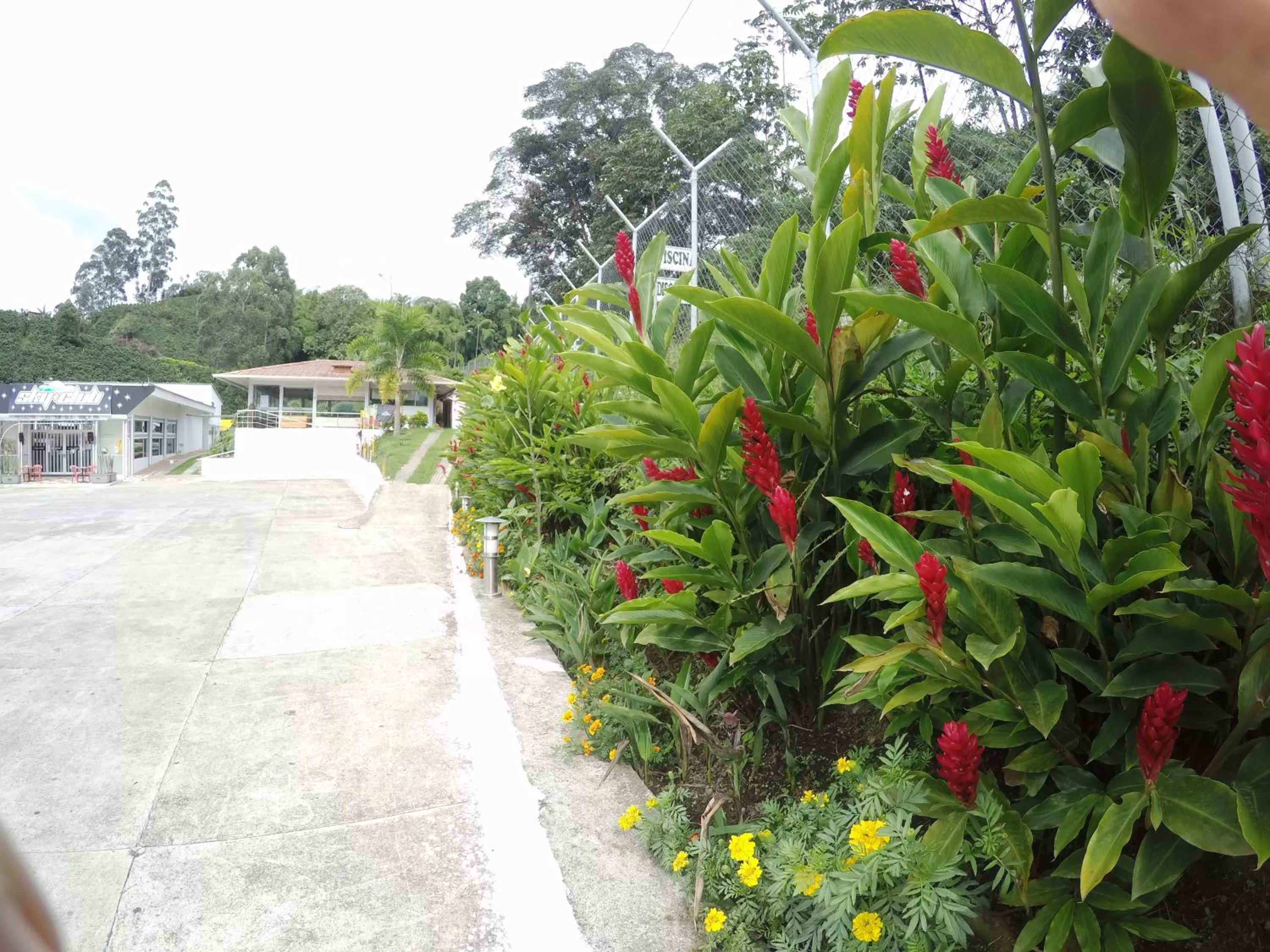 Restaurant/places to eat, Garden in Sky Club Eco Hotel