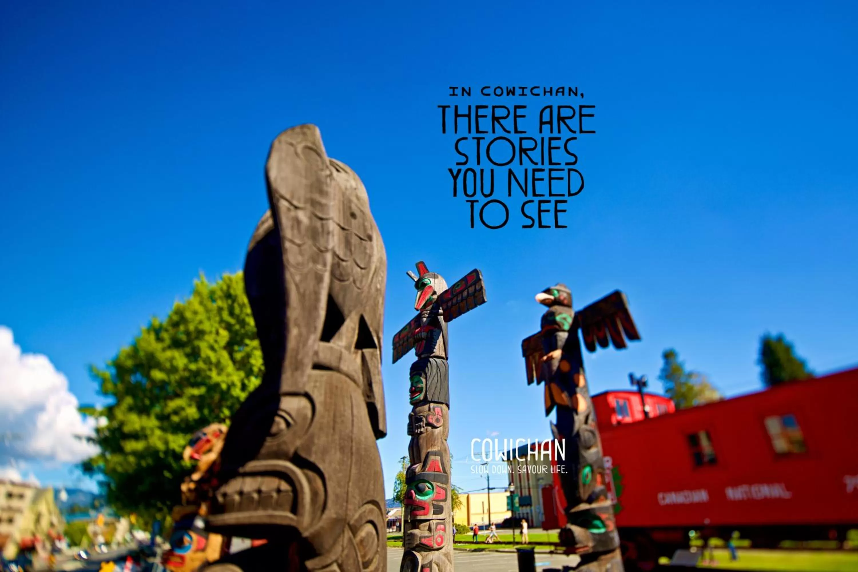 Neighbourhood in Microtel Inn & Suites by Wyndham Oyster Bay Ladysmith