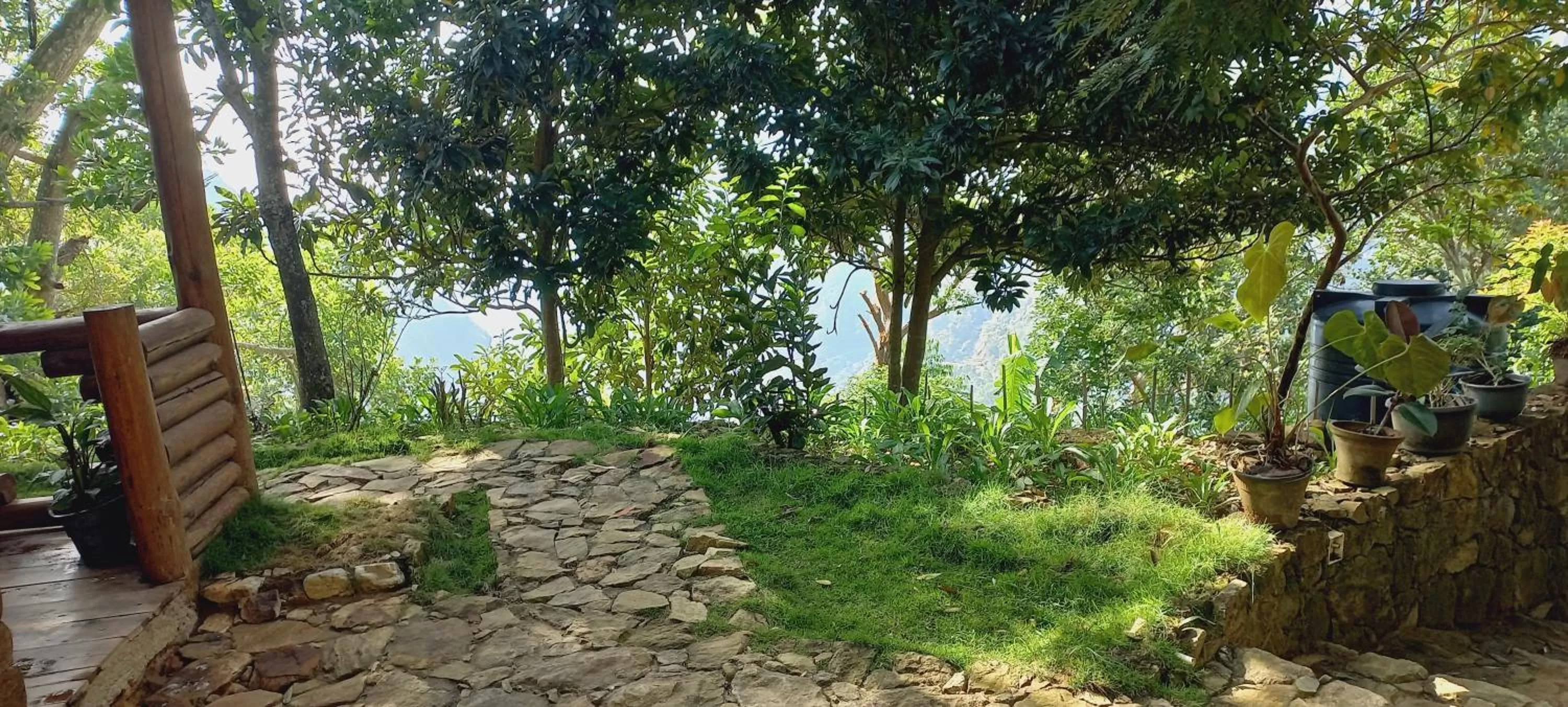 Garden in Felicity Inn