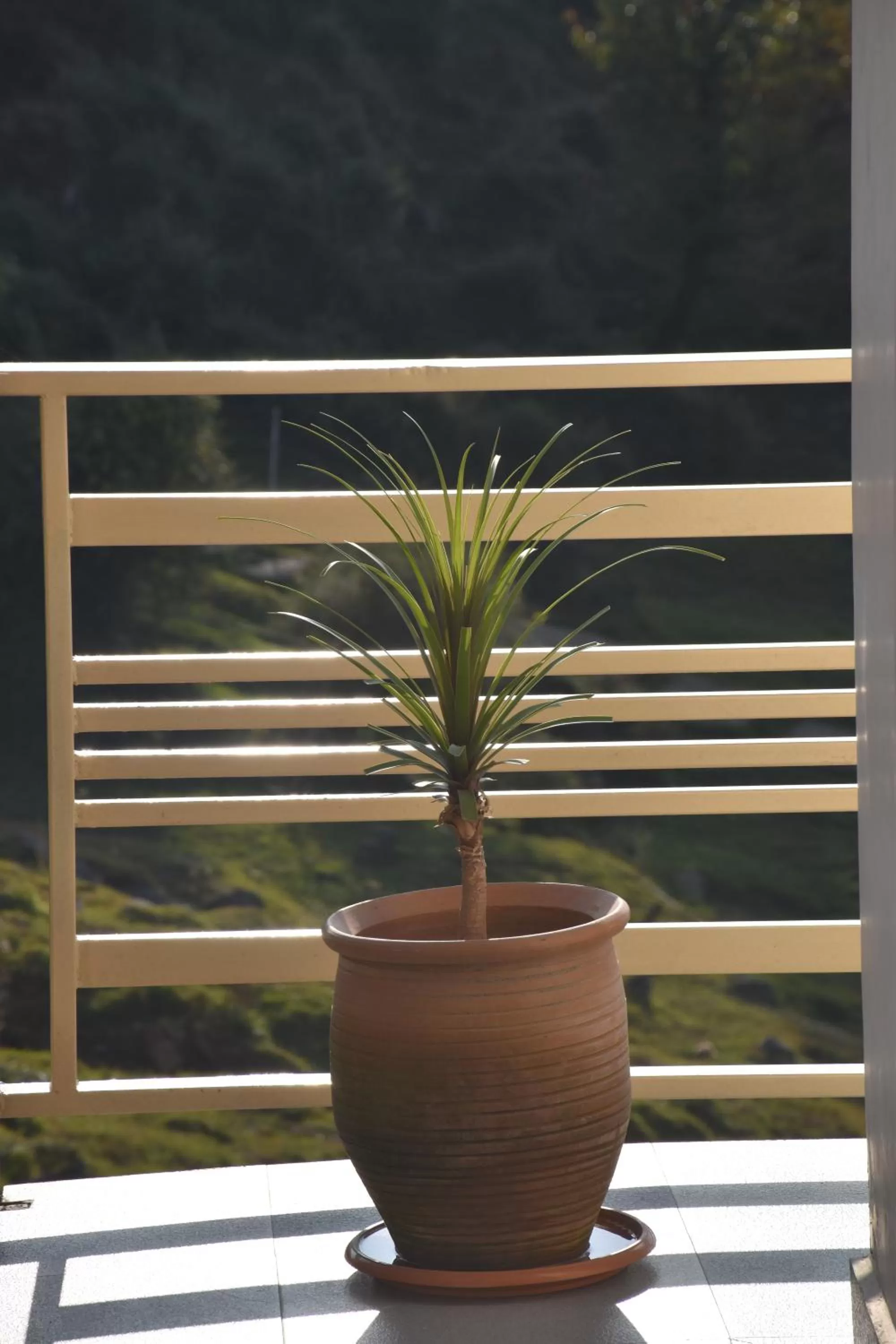 View (from property/room) in Jot Eco Boutique Stays