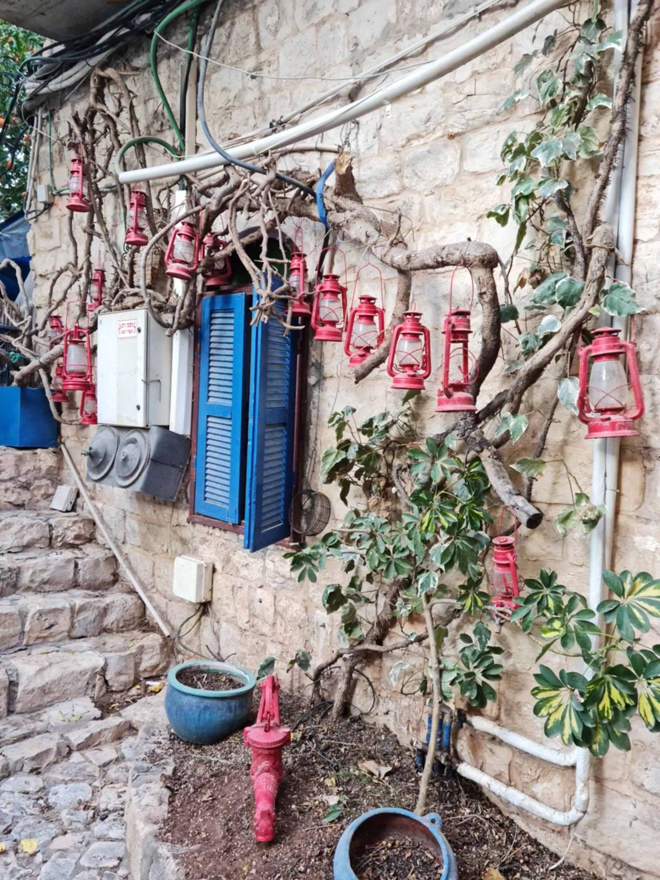 Day in וילה תהילה המחודש - The new Villa Tehila