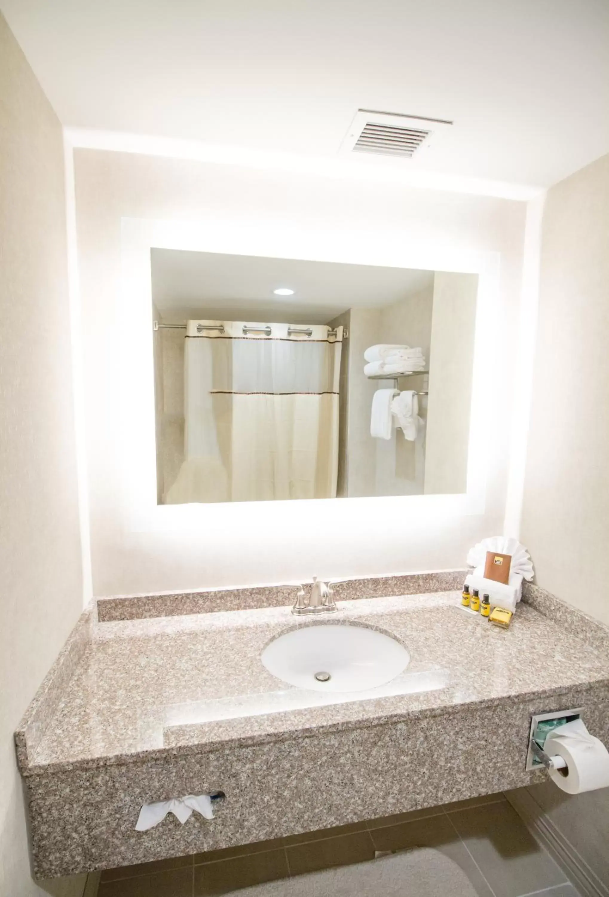 King Room - Non-Smoking in Best Western Plus Fairfield Executive Inn King Room - Non-Smoking in Best Western Plus Fairfield Executive Inn