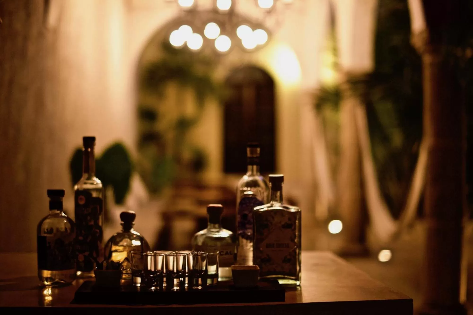 Lounge or bar in The Diplomat Boutique Hotel