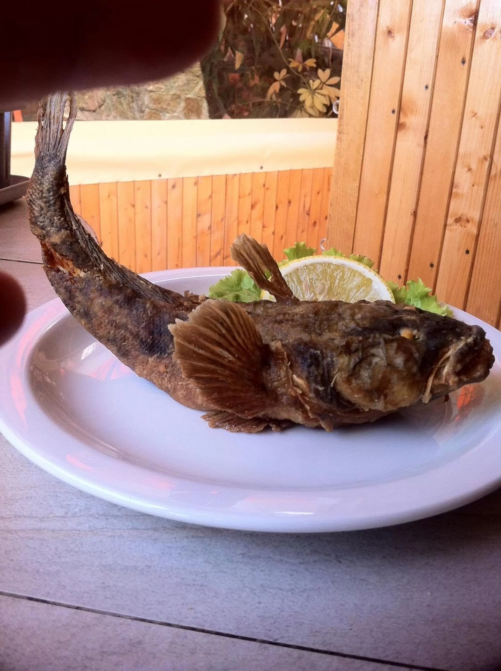 Food in Hotel Poseidon