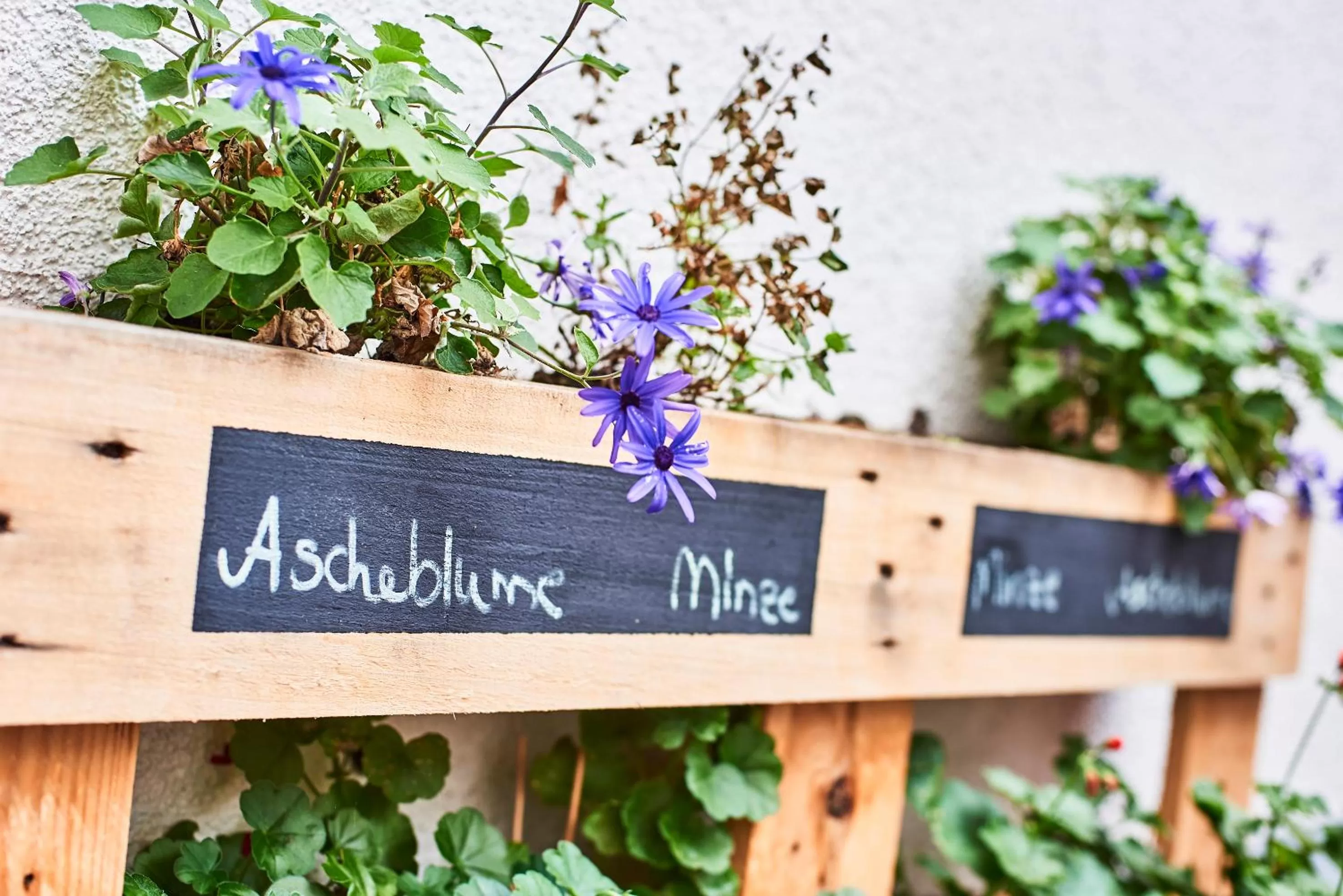 Patio in DJH-Gästehaus Bermuda3Eck