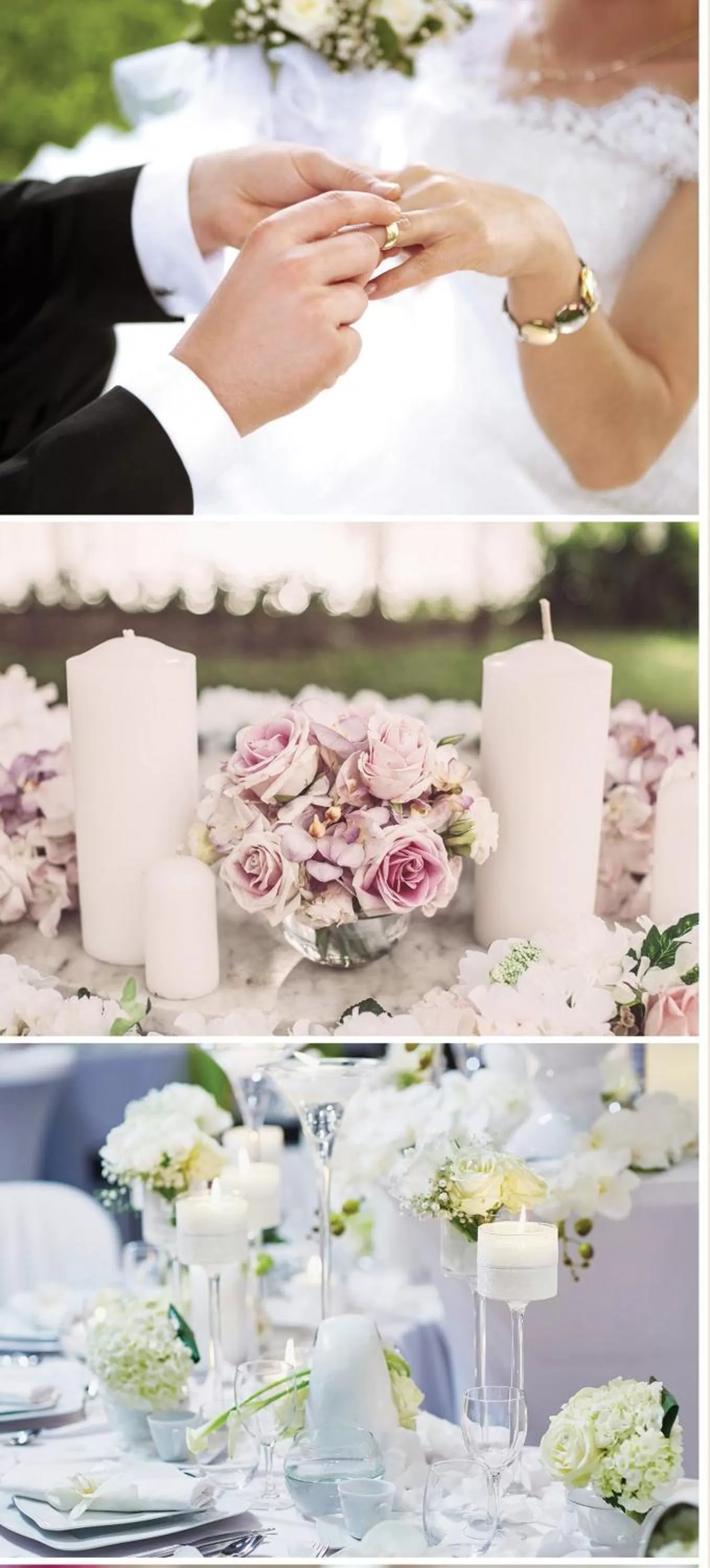 Banquet/Function facilities in Grand Hotel Del Mare Resort & Spa