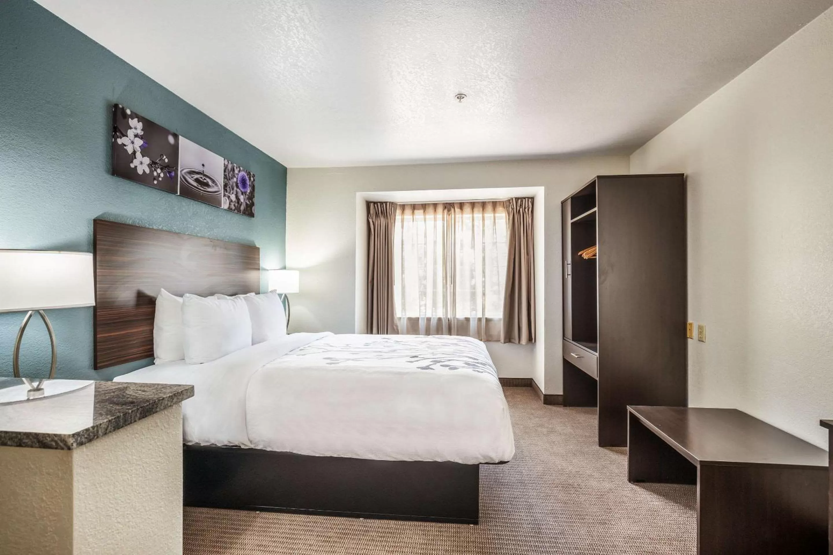 Bedroom, Bed in Sleep Inn & Suites Tallahassee-Capitol