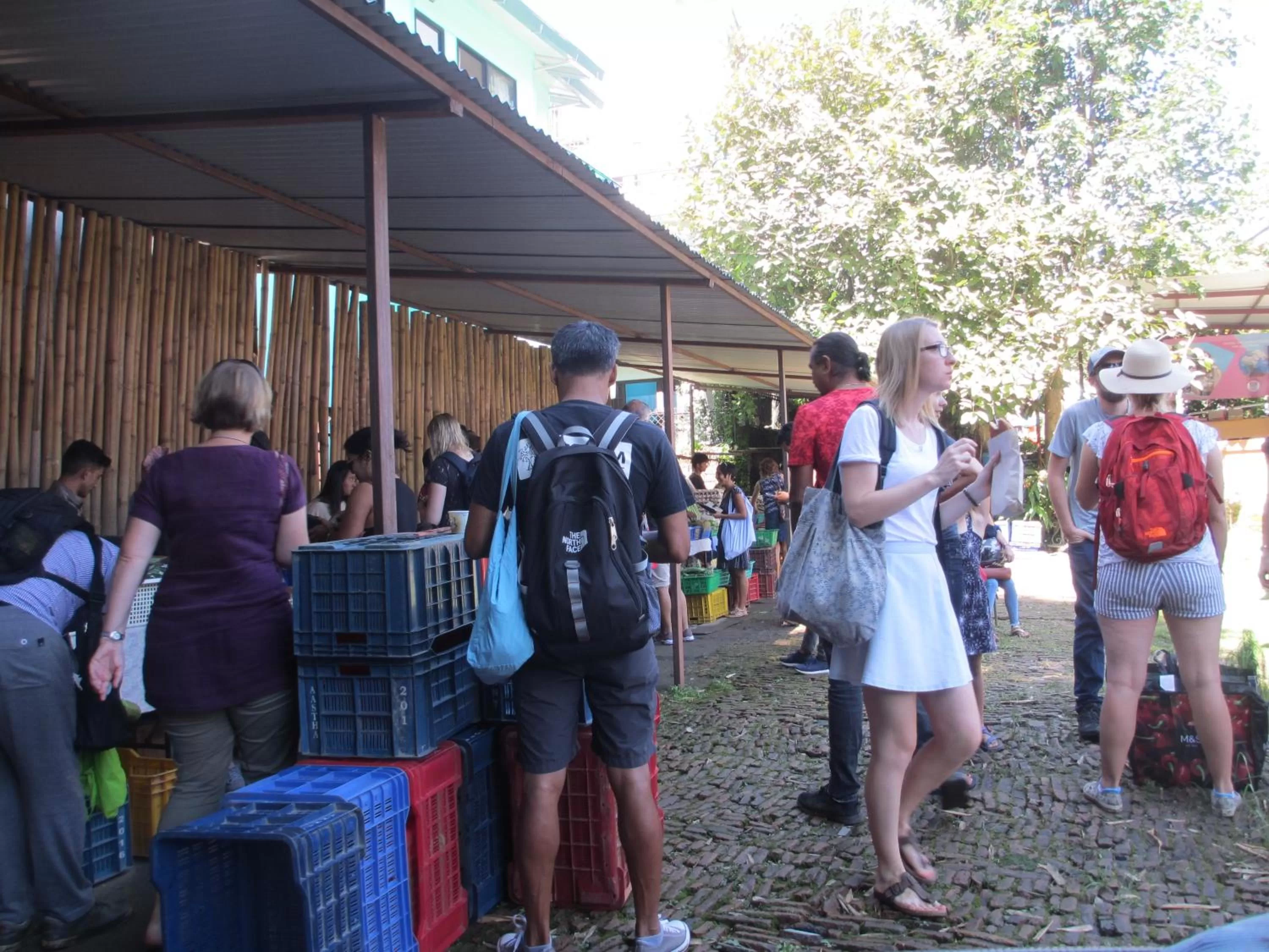 Activities in The Museum