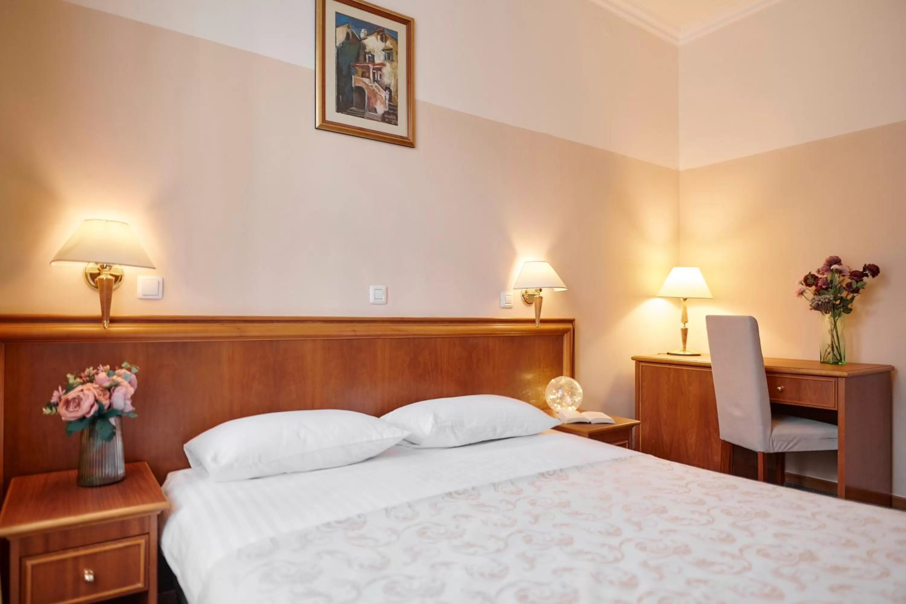 Standard Double or Twin Room with Street View - single occupancy in Hotel Lovran
