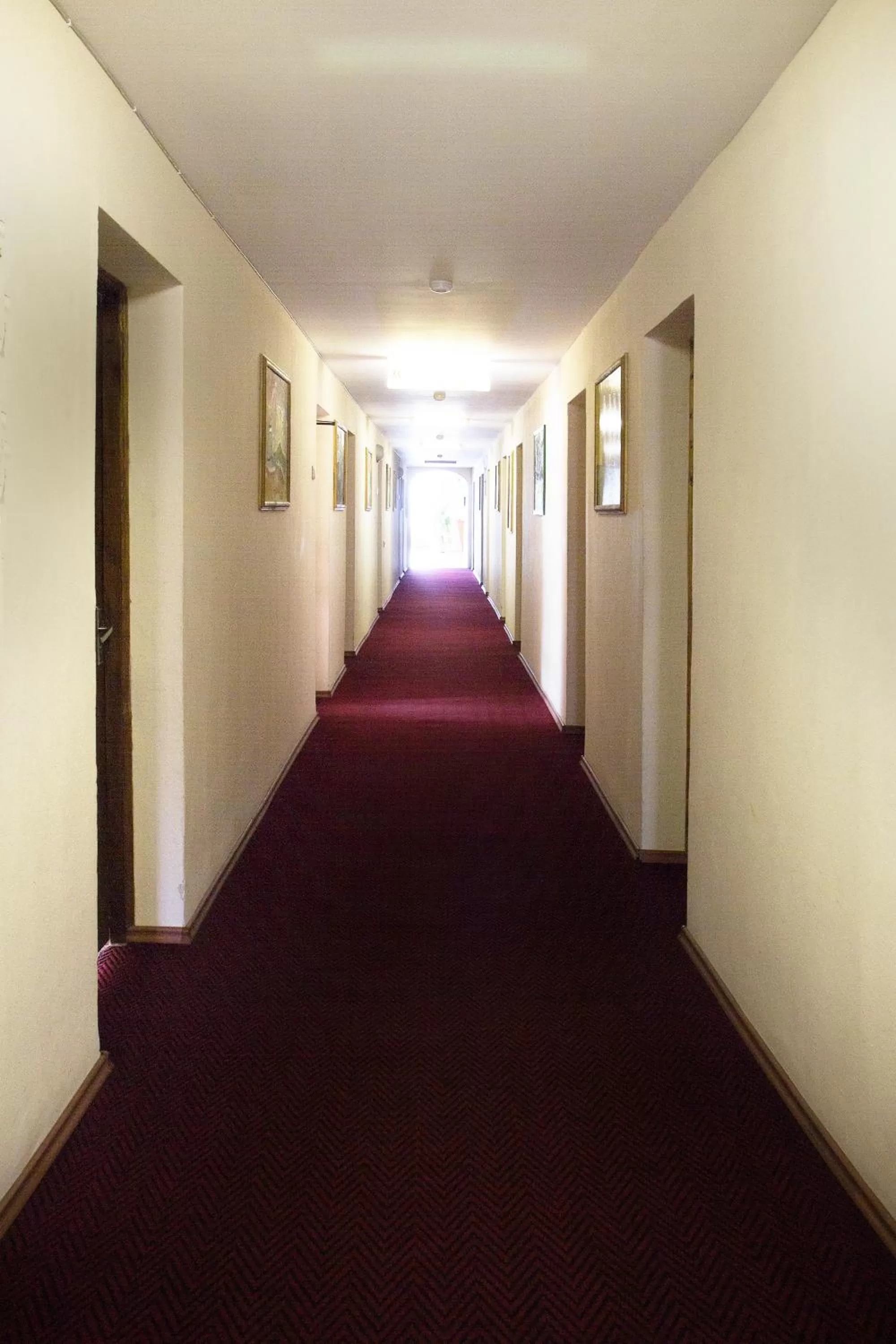 Decorative detail in Dzukija Hotel