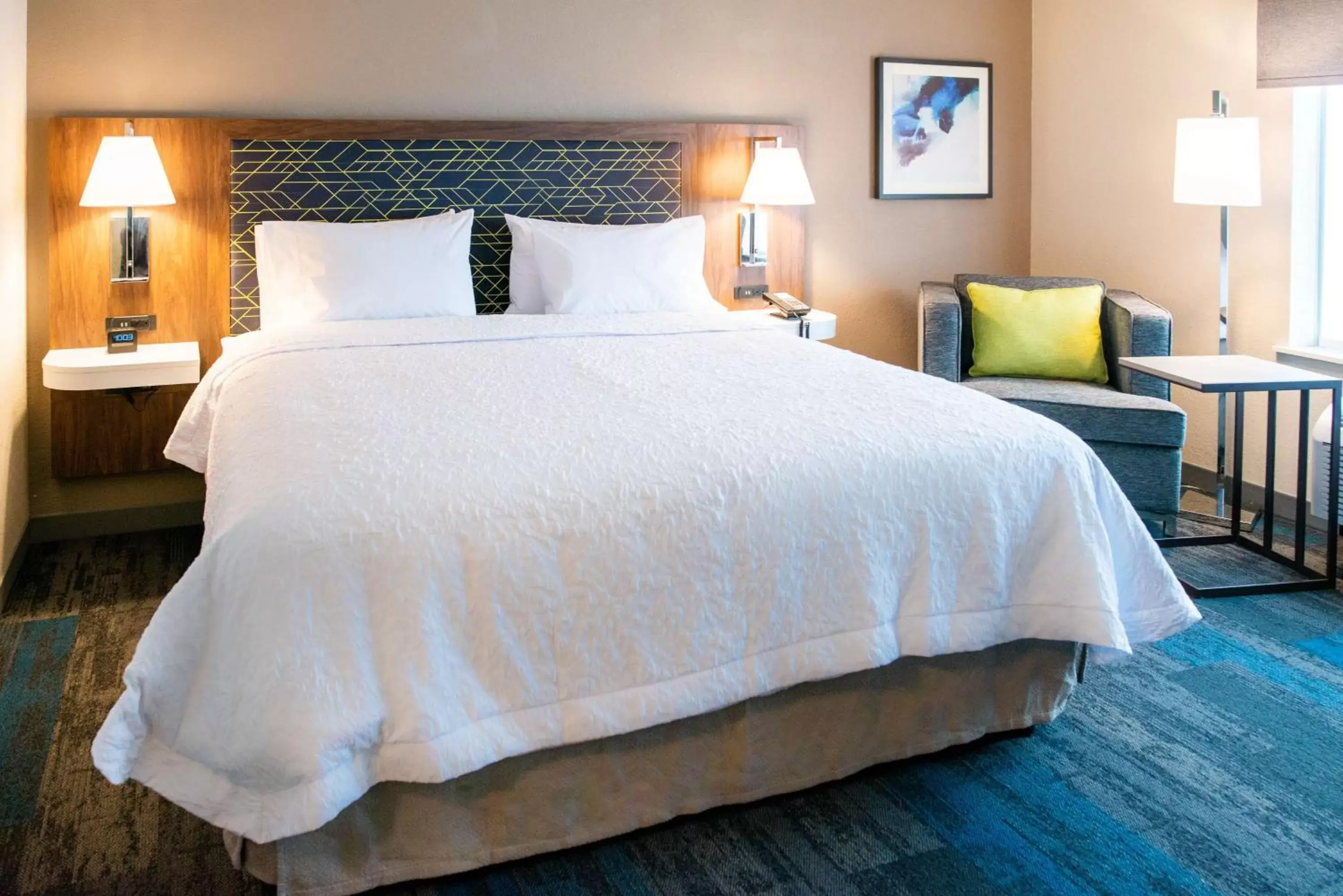 King Room in Hampton Inn Paris IL, IL King Room in Hampton Inn Paris IL, IL