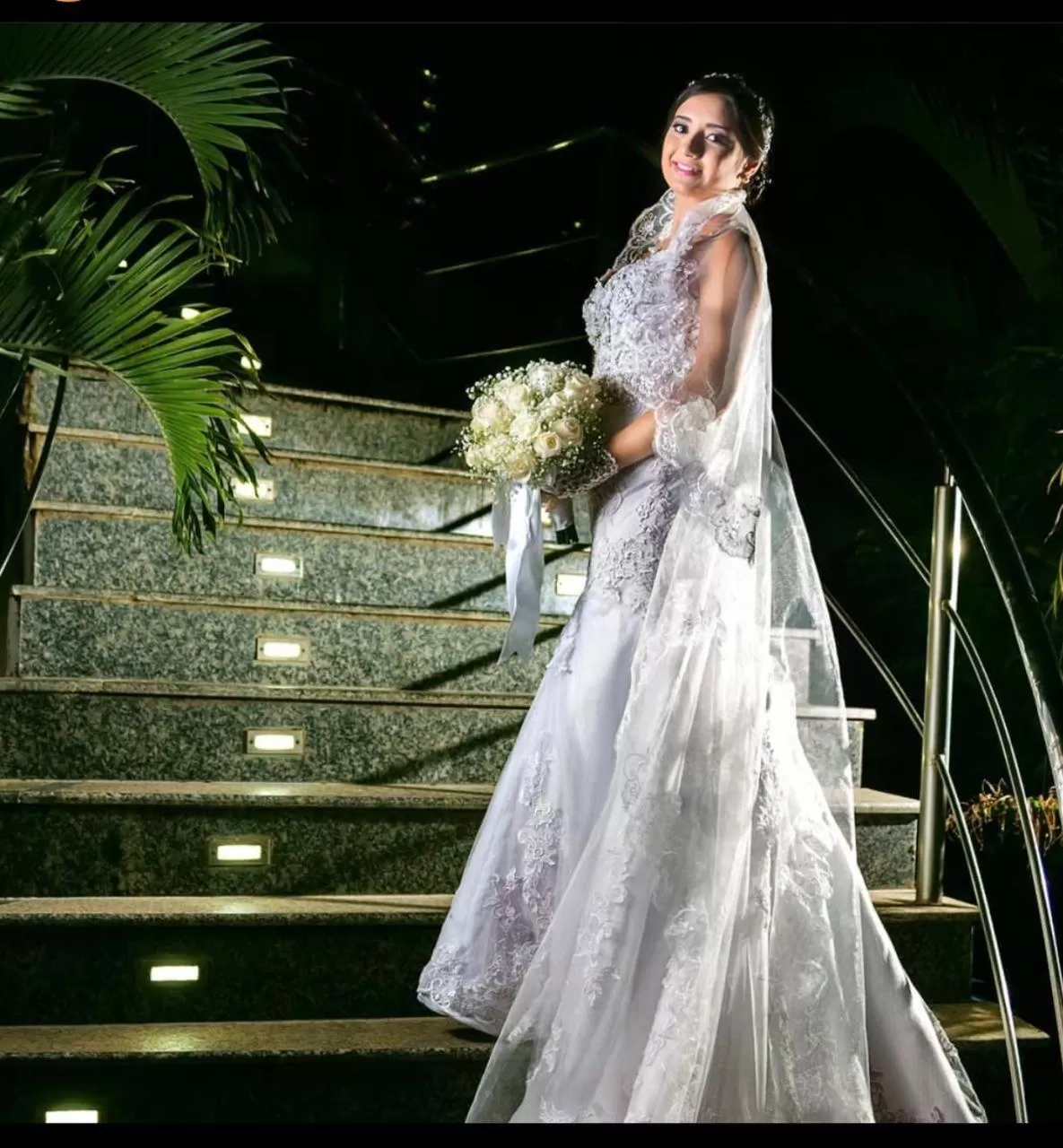 Other Animals in Hotel Le Pelican