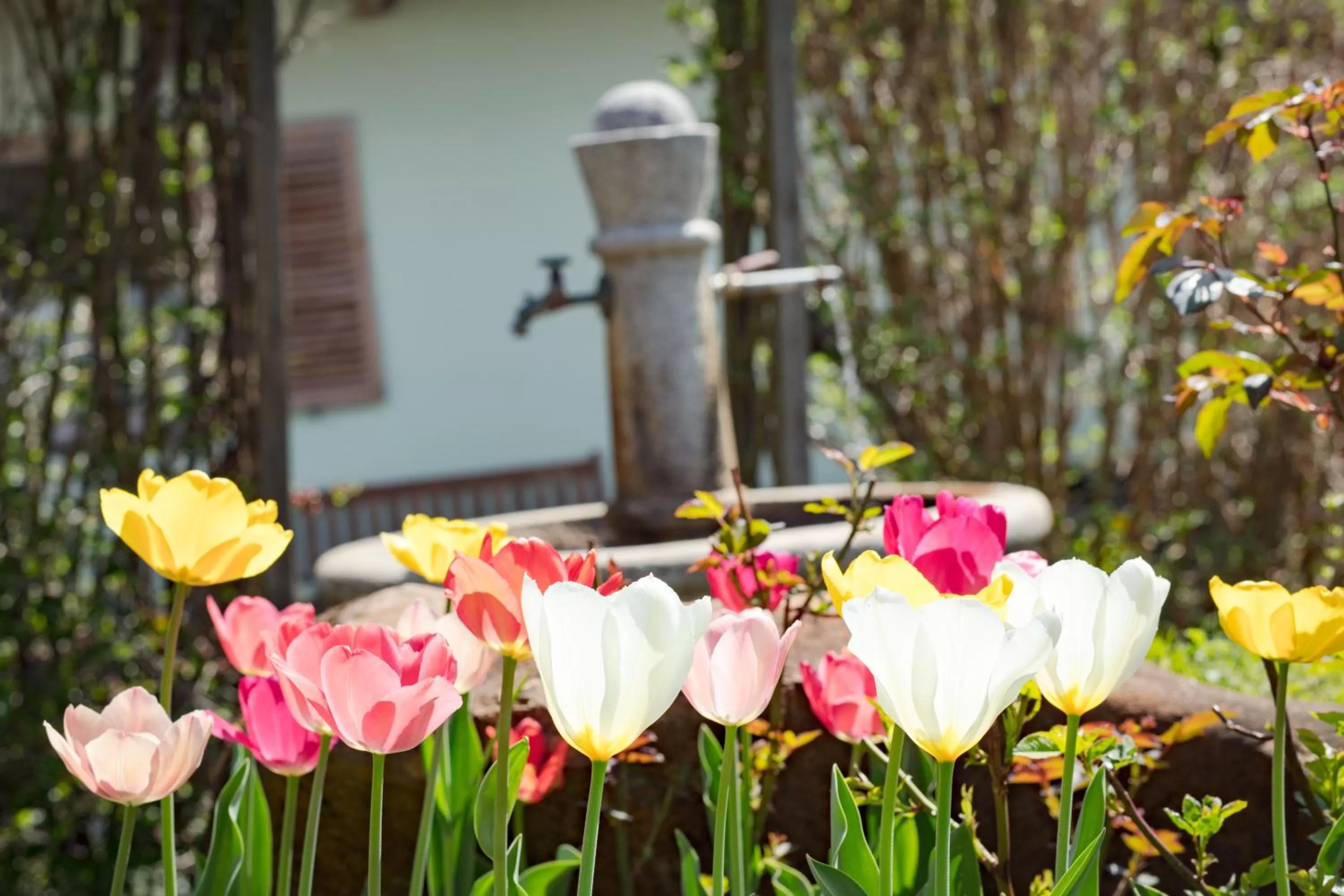 Garden in Hotel Garni Wieshof
