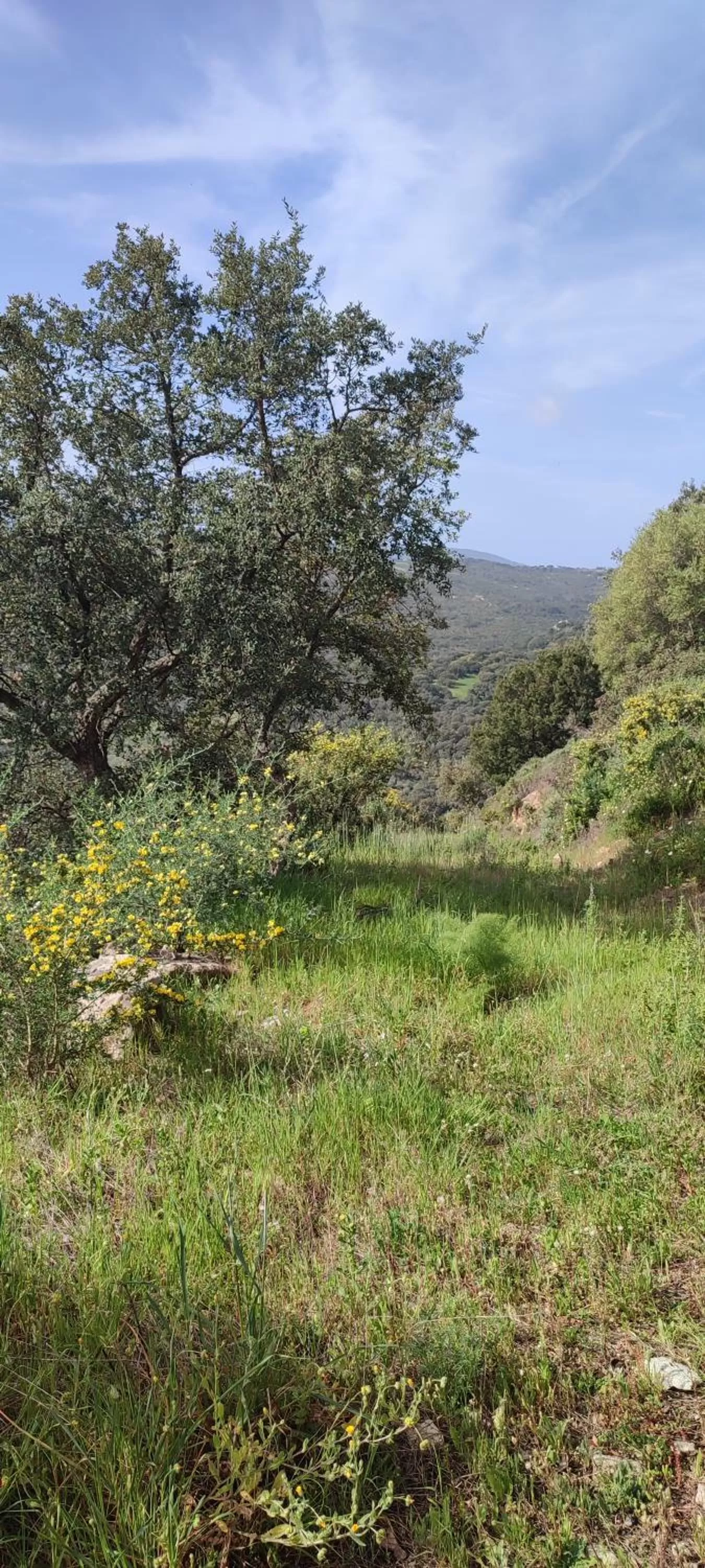 Quiet street view in Il Nuraghe