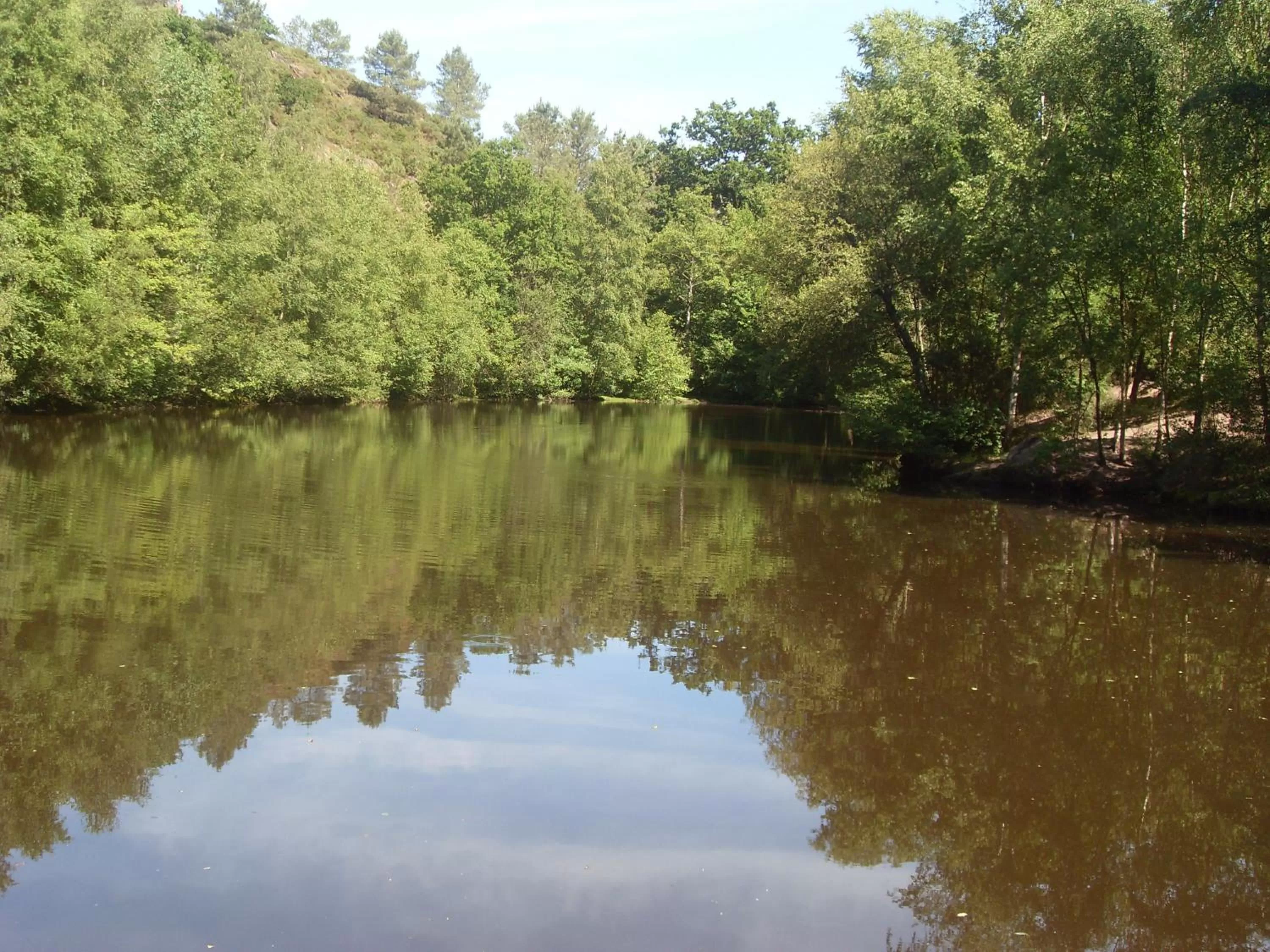 Nearby landmark in Chambre d'hôtes Les Bruyères