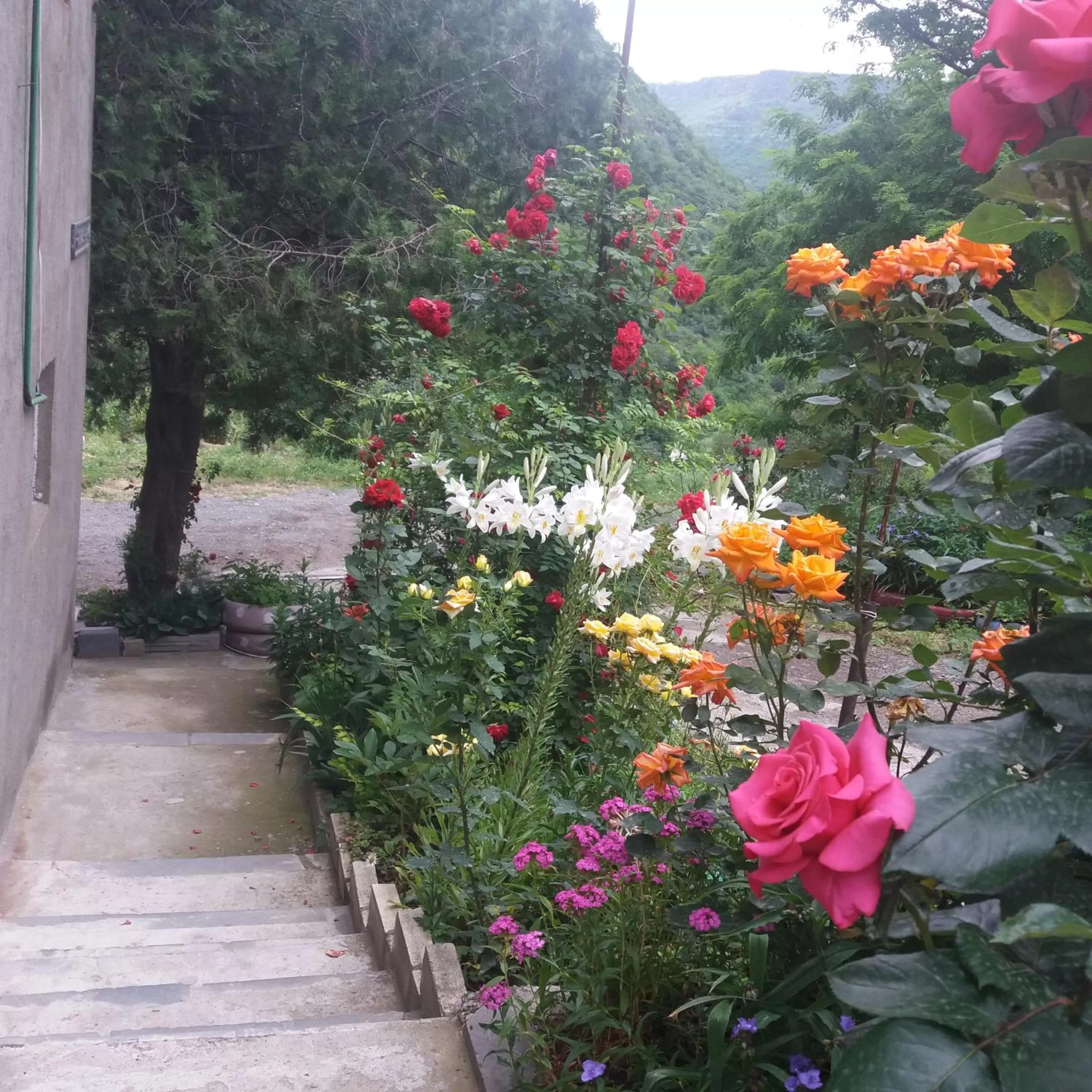 Day, Garden in IRIS B&B in DEBED CANYON