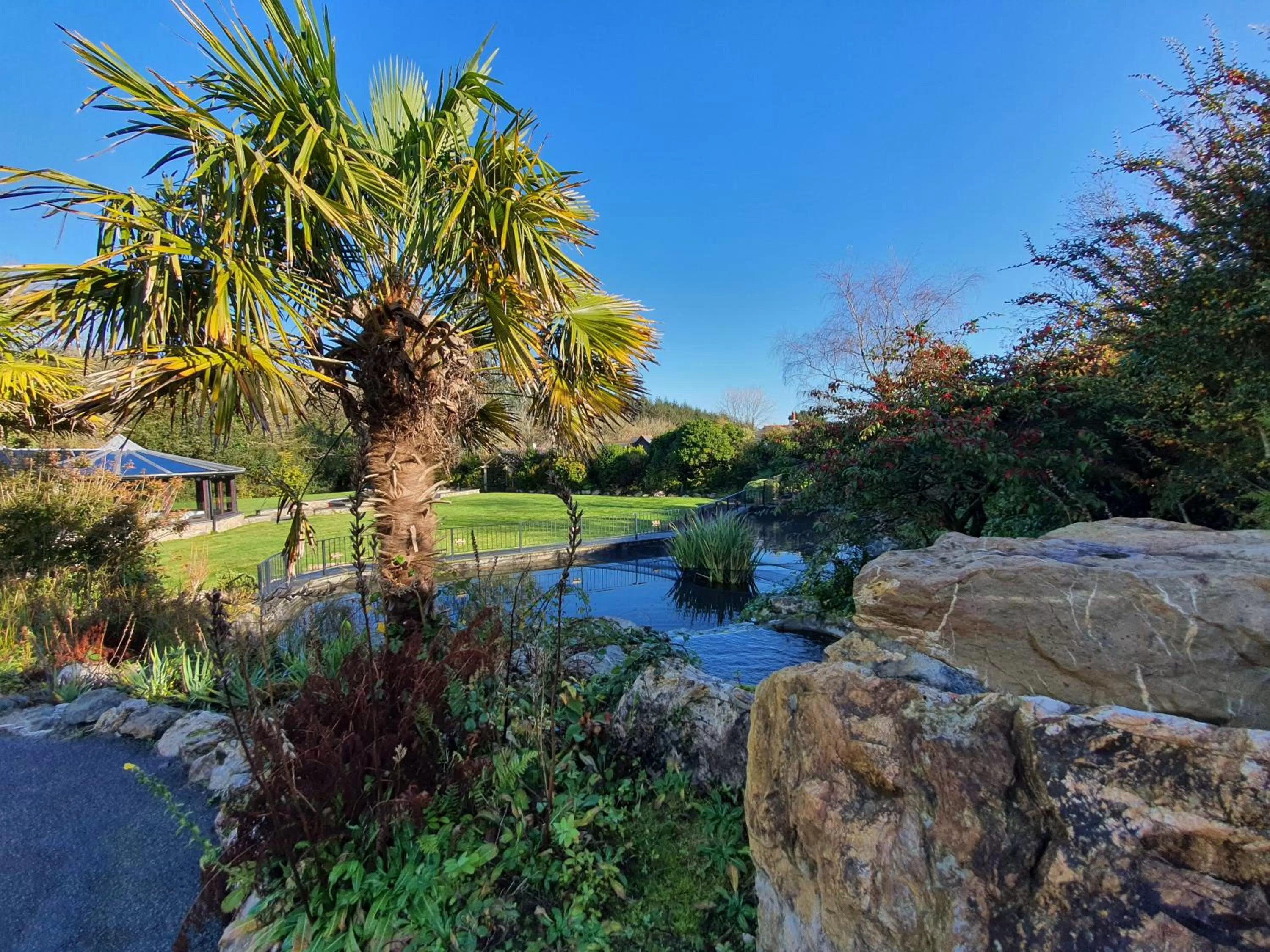 Spring in Hustyns Resort Cornwall