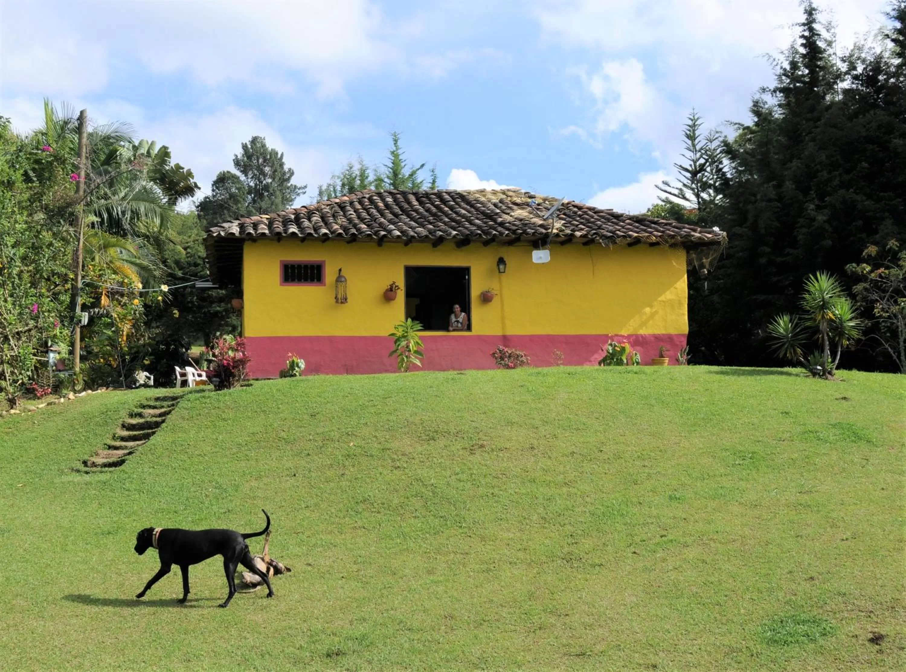 Property Building in Casa finca típica the lake hotel