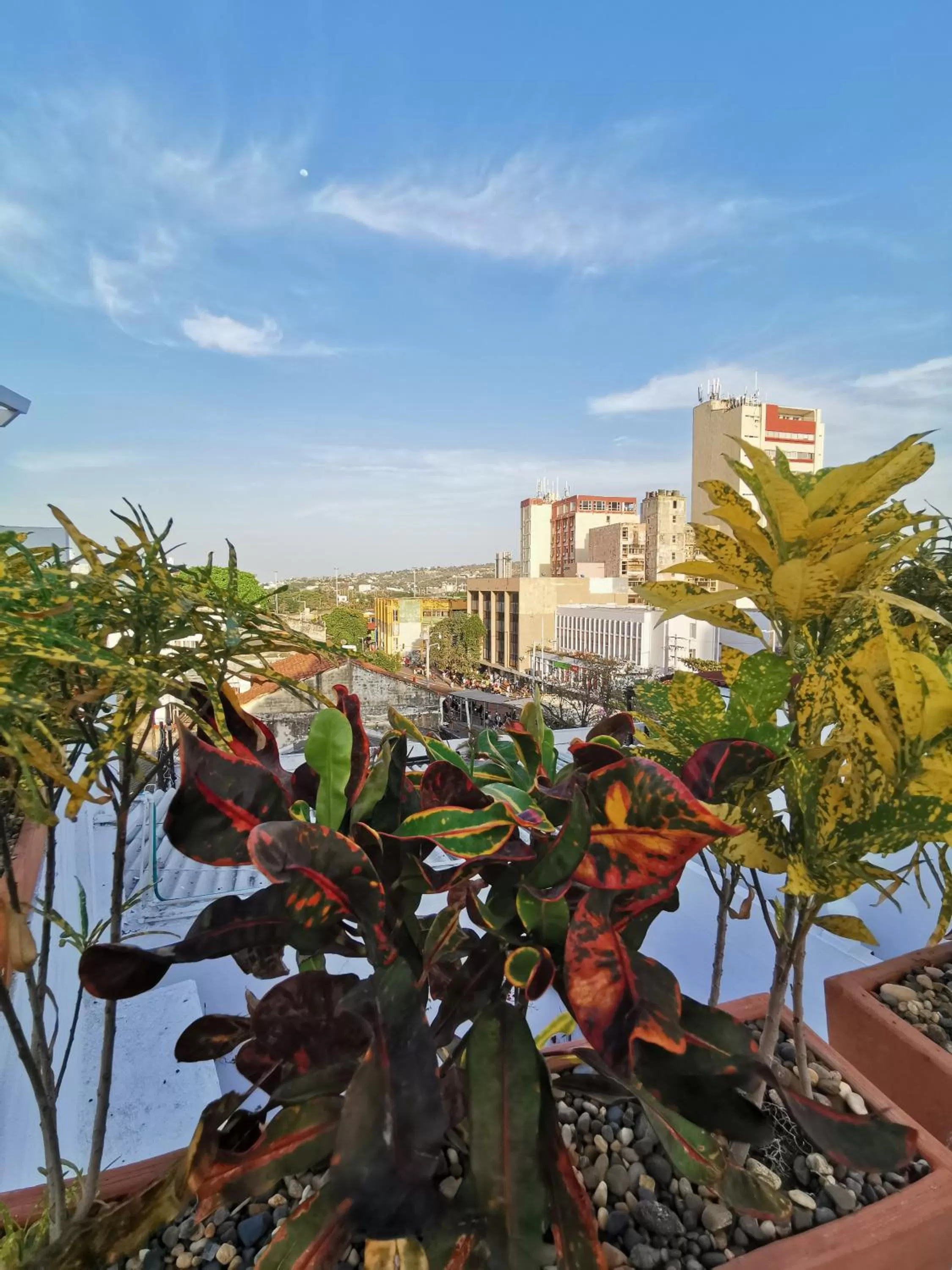 City view in Luka Cartagena Hotel
