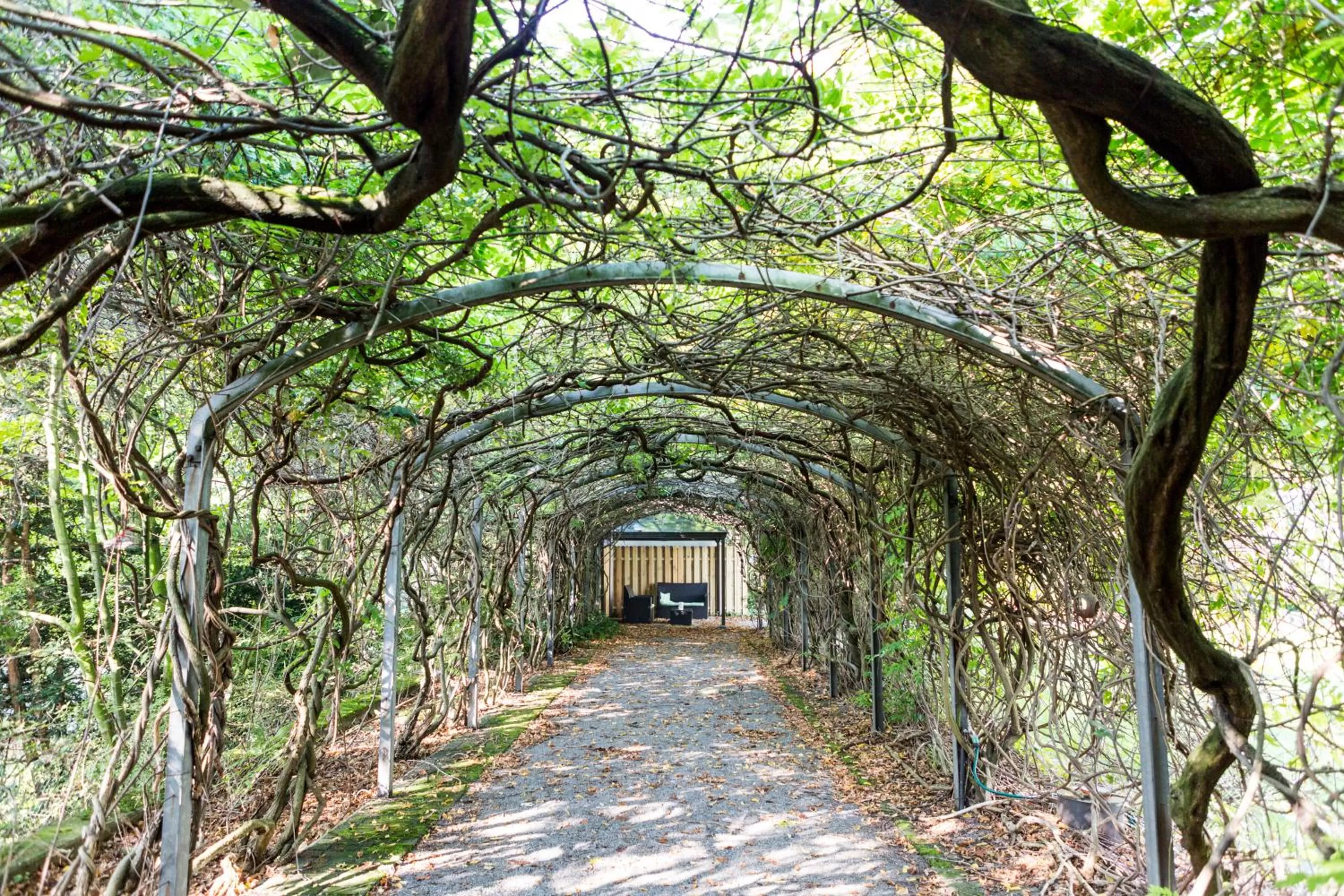 Patio in Auszeit Hotel Düsseldorf - das Frühstückshotel