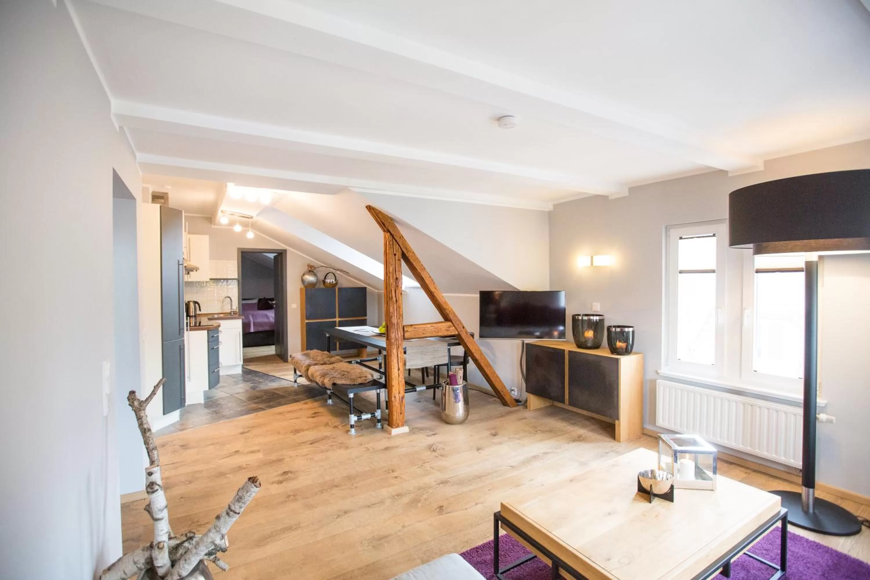 TV and multimedia in Hotel & Restaurant Fackelgarten Plau am See