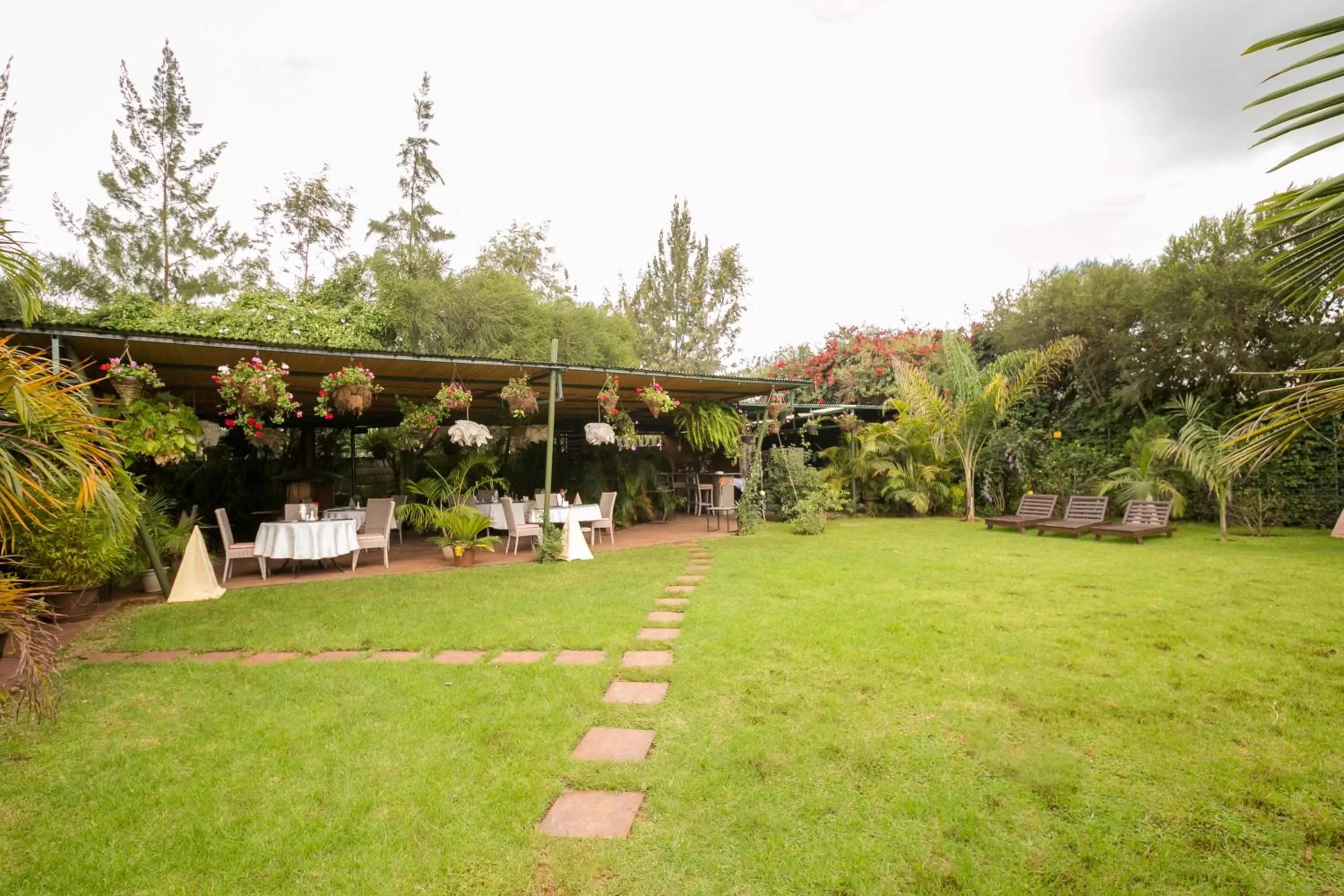 Garden in Hotel Rudi