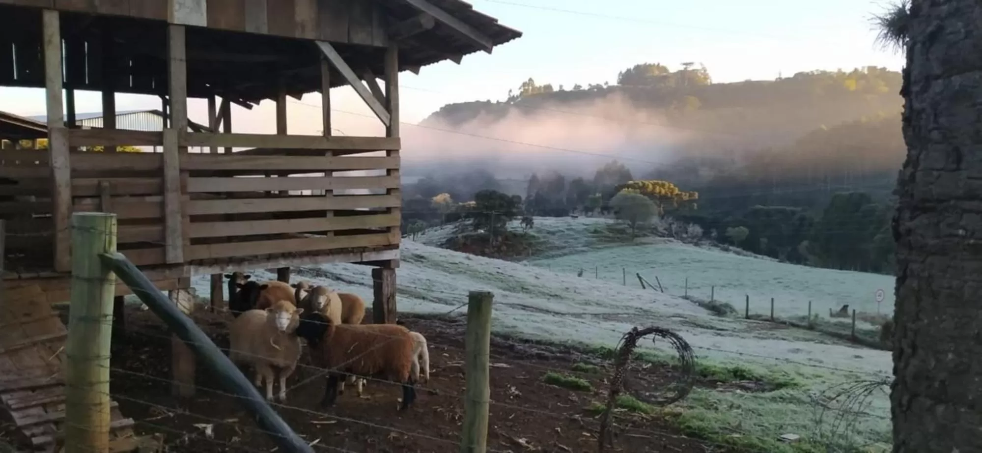 Activities in Verde Vale Hotel