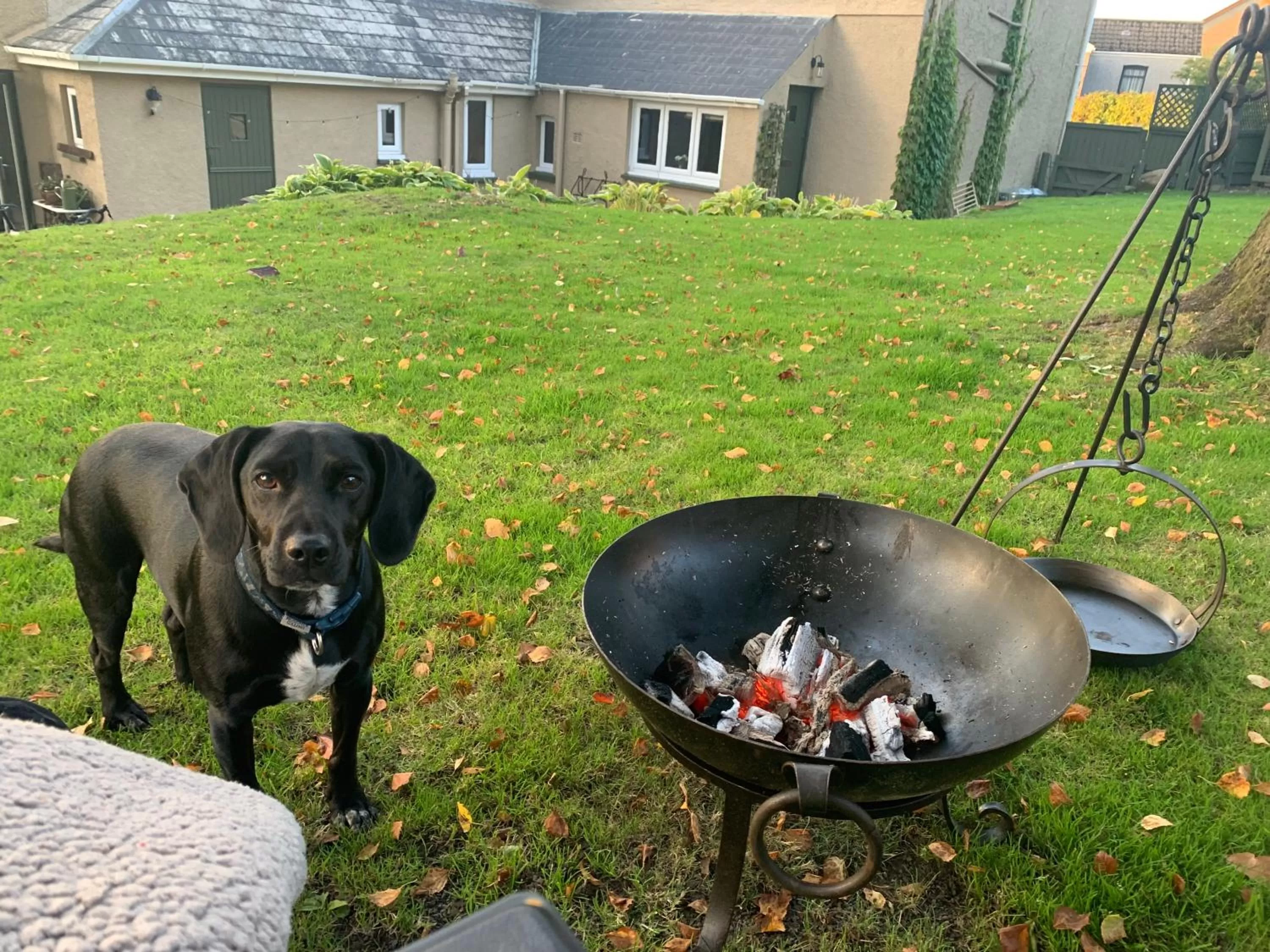 BBQ facilities, Other Animals in Efail Y Garn