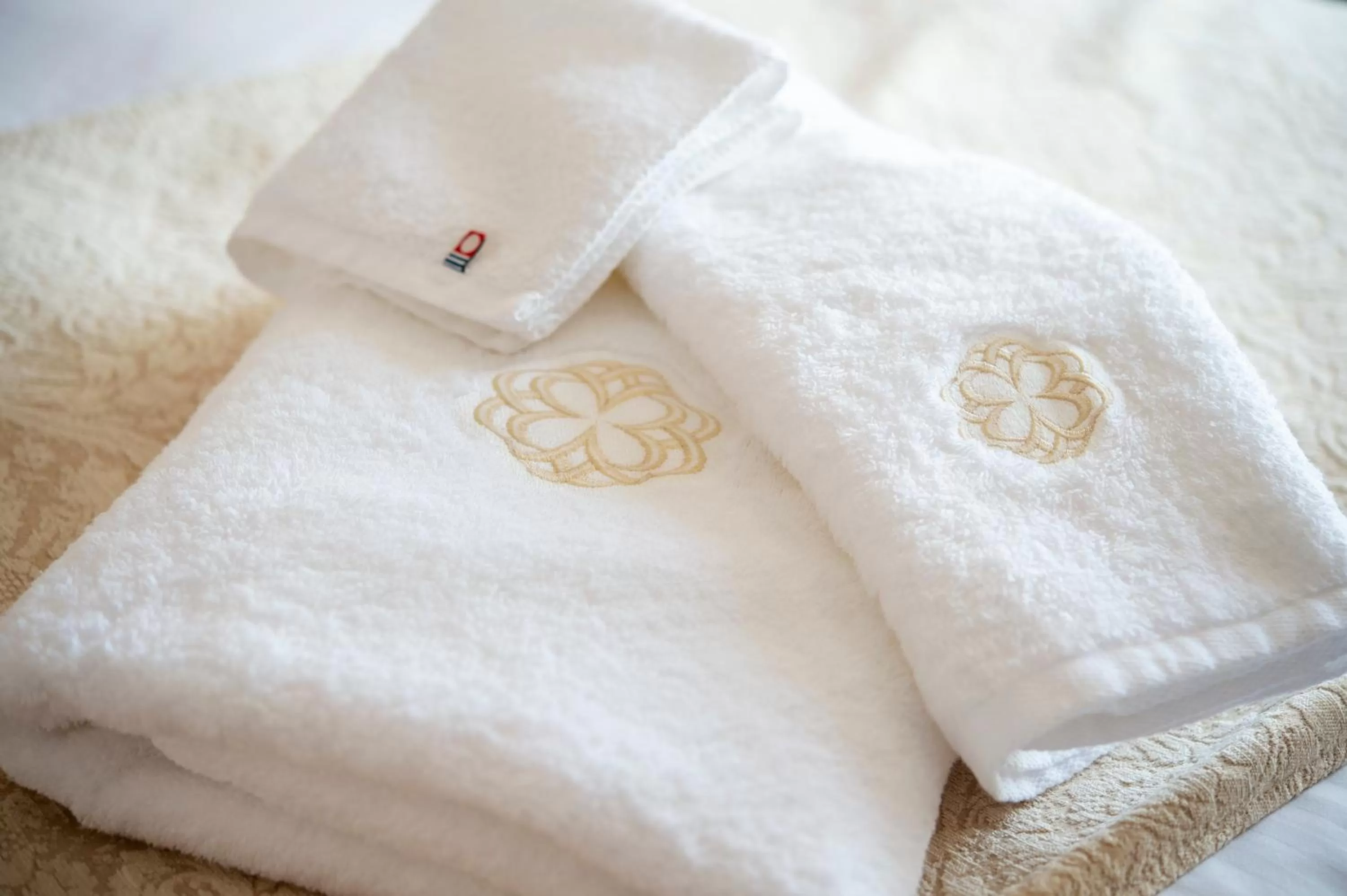 Photo of the whole room in Dai-ichi Hotel Tokyo