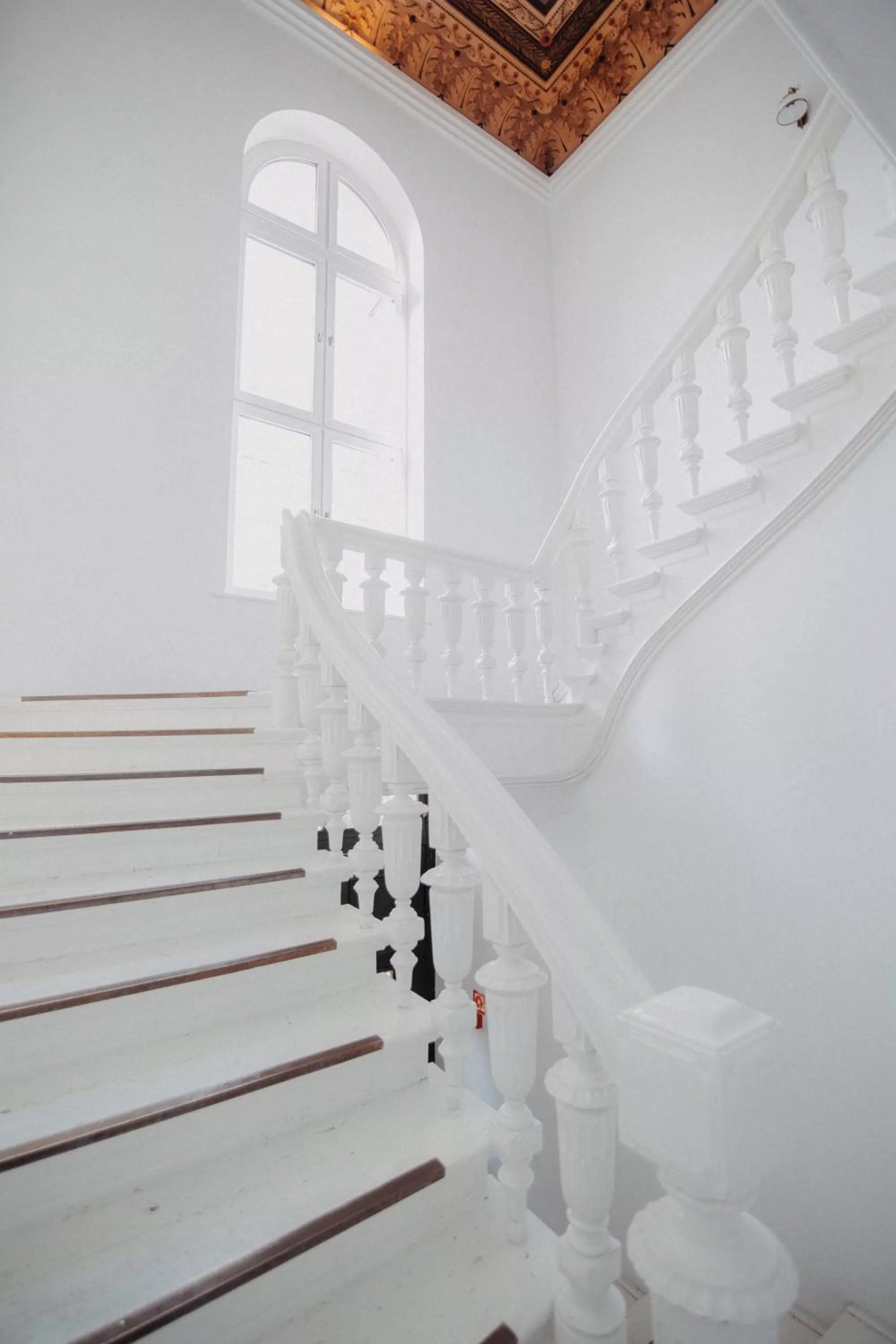 Decorative detail in Matejki 8