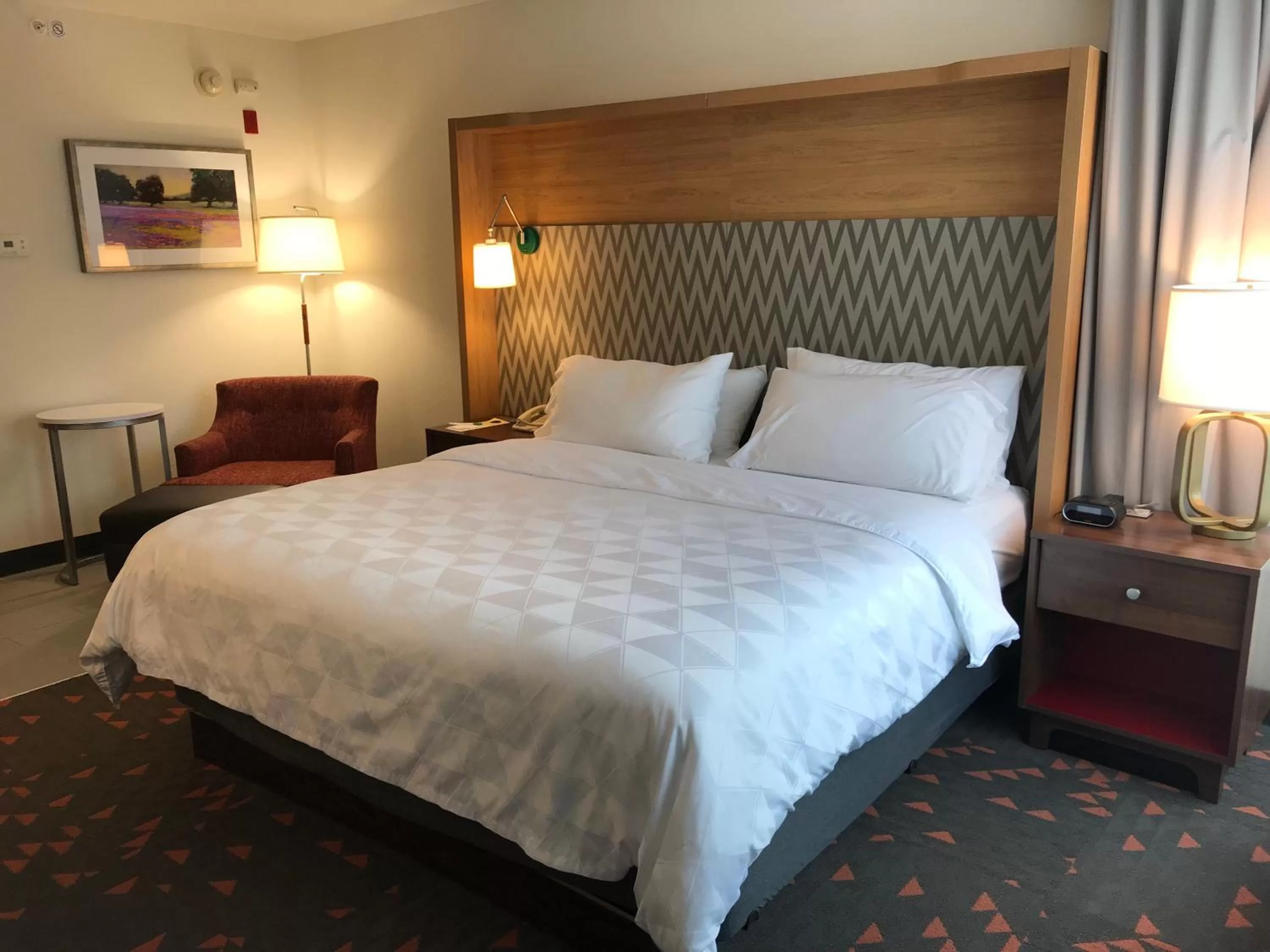 Photo of the whole room, Bed in Holiday Inn Statesboro-University Area by IHG