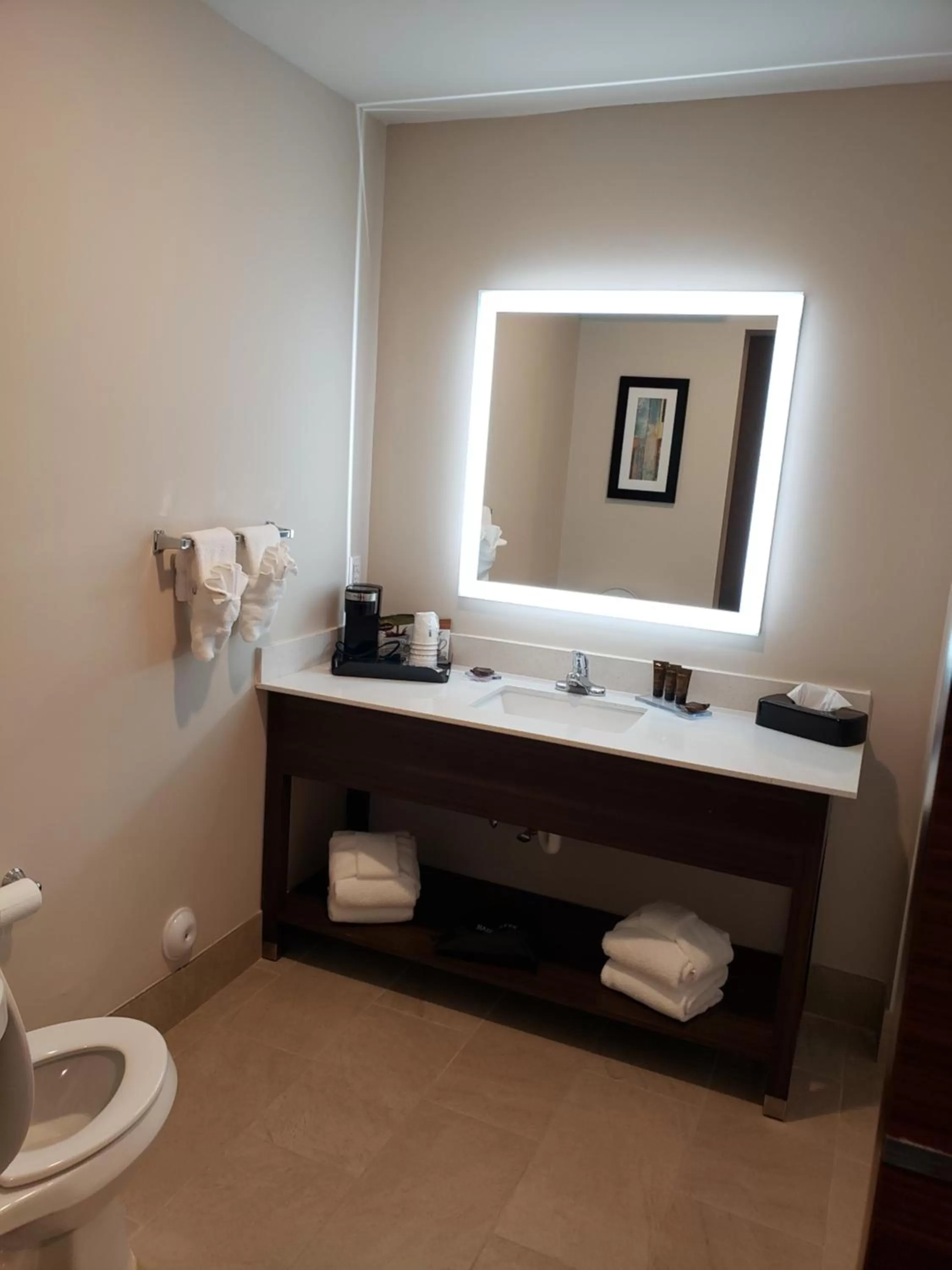 Bathroom in Wingate by Wyndham Christiansburg